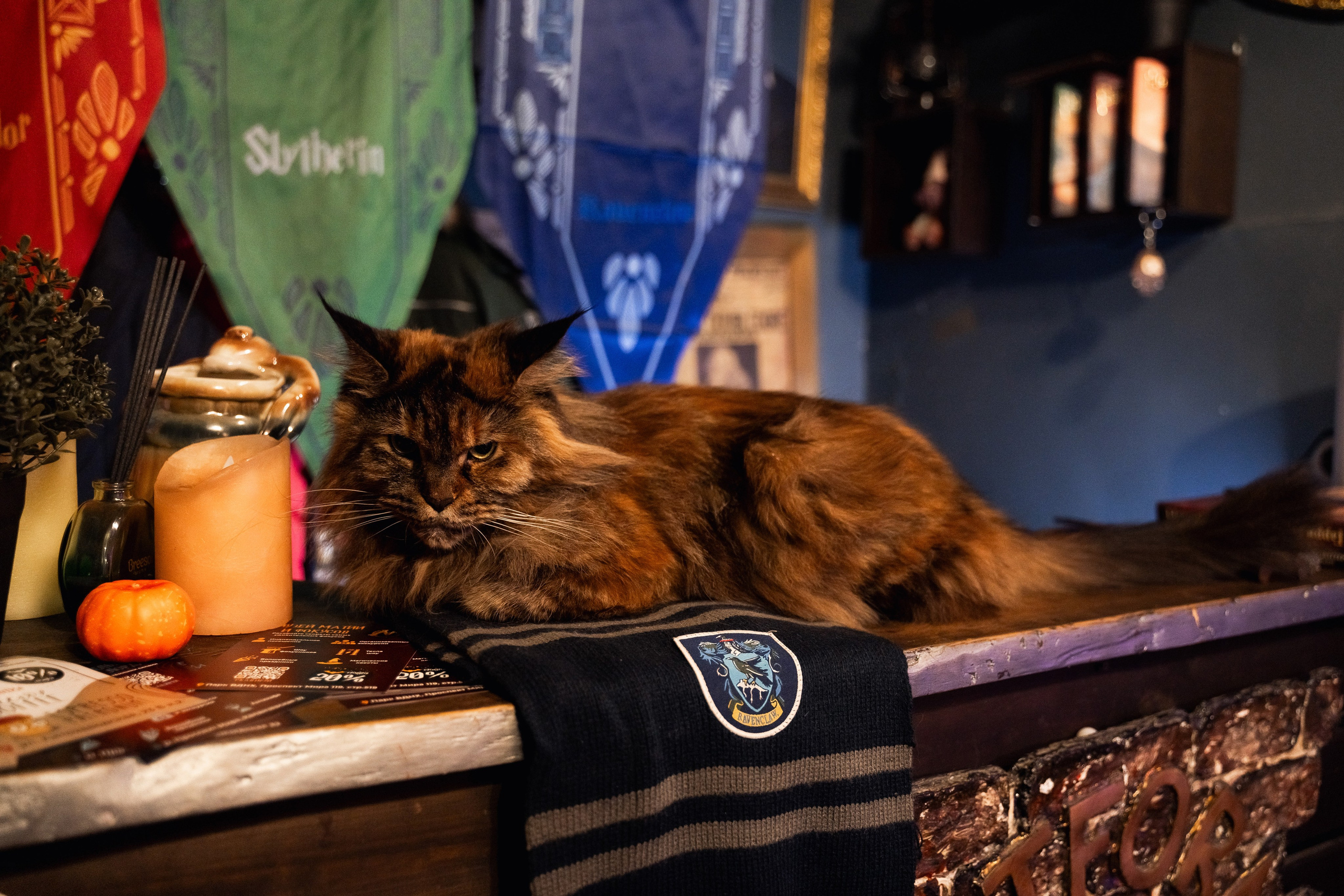 Кире 7 лет. Свадебный фотограф Москва и МО