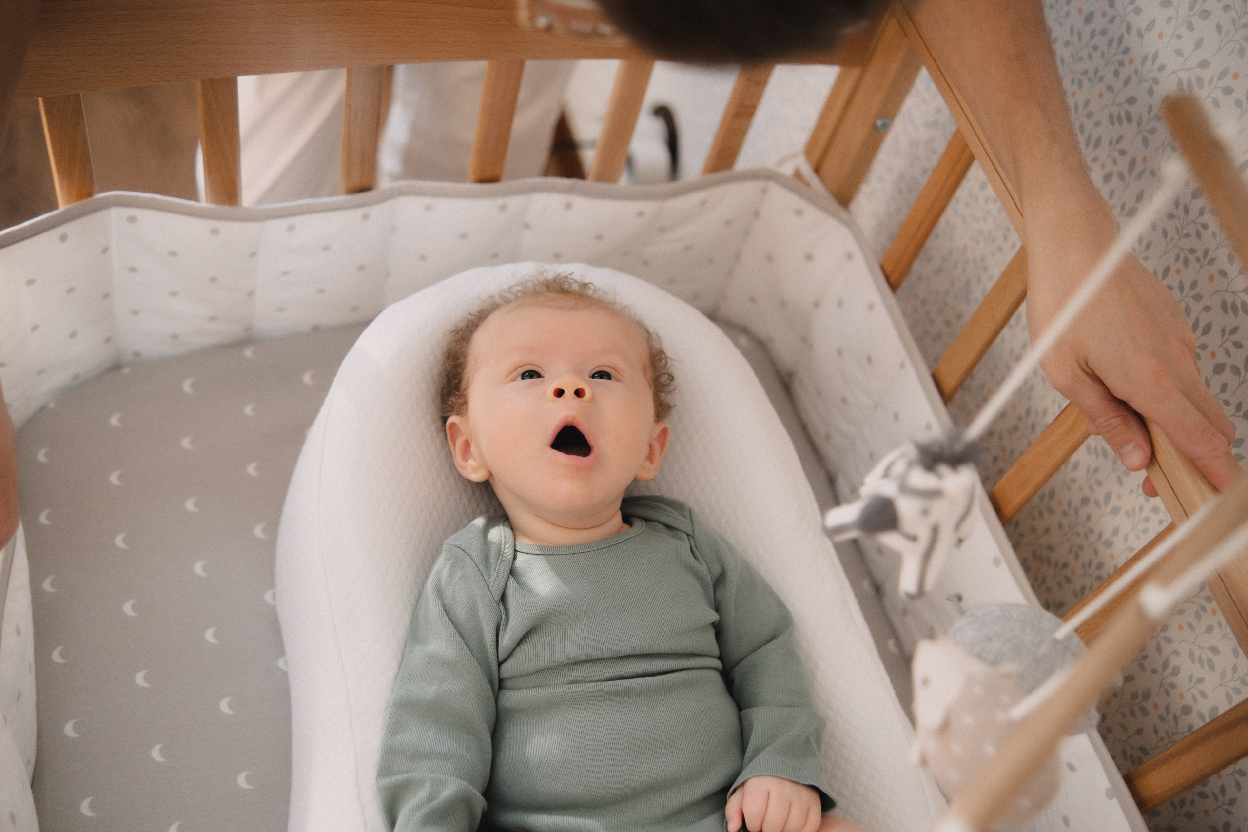 Лёвушка. Семейный фотограф Уфа Головченко Анастасия