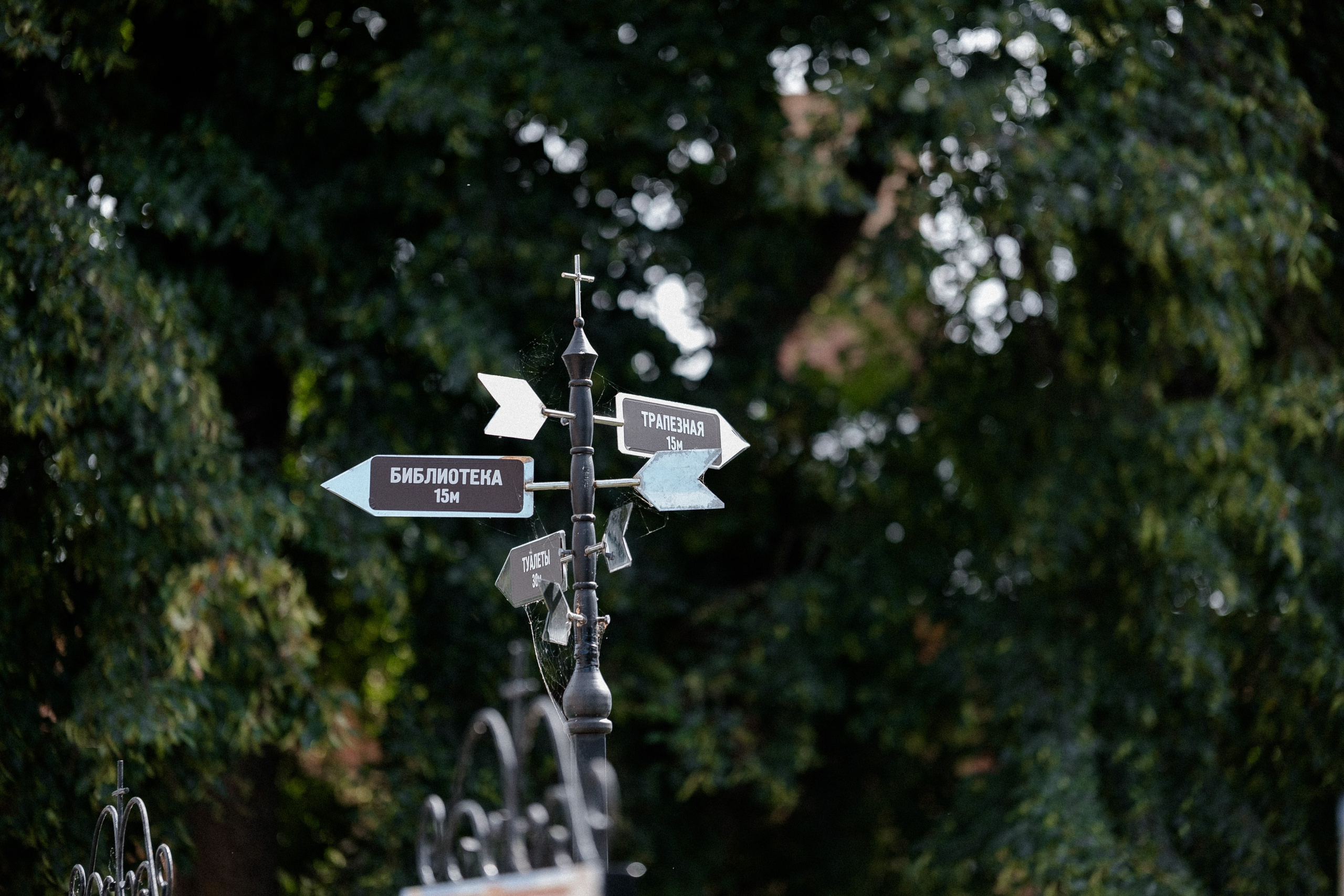 Алексеевское. Свадебный и семейный фотограф в Казани и Зеленодольске Ланочкин Илья