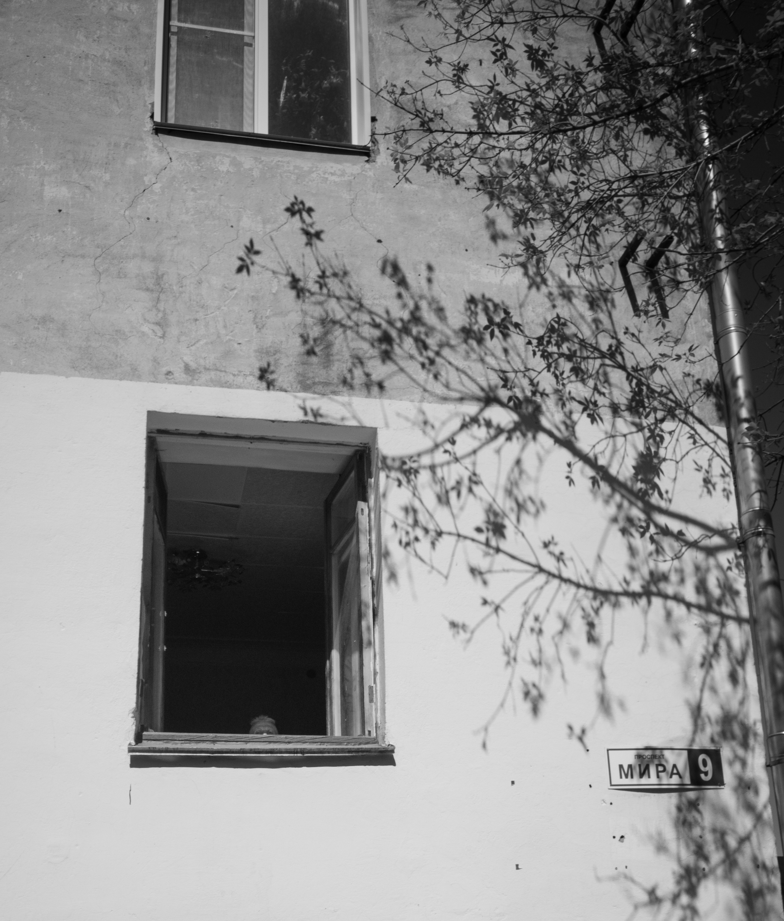 г.Кирово-Чепецк, 17.05.2025