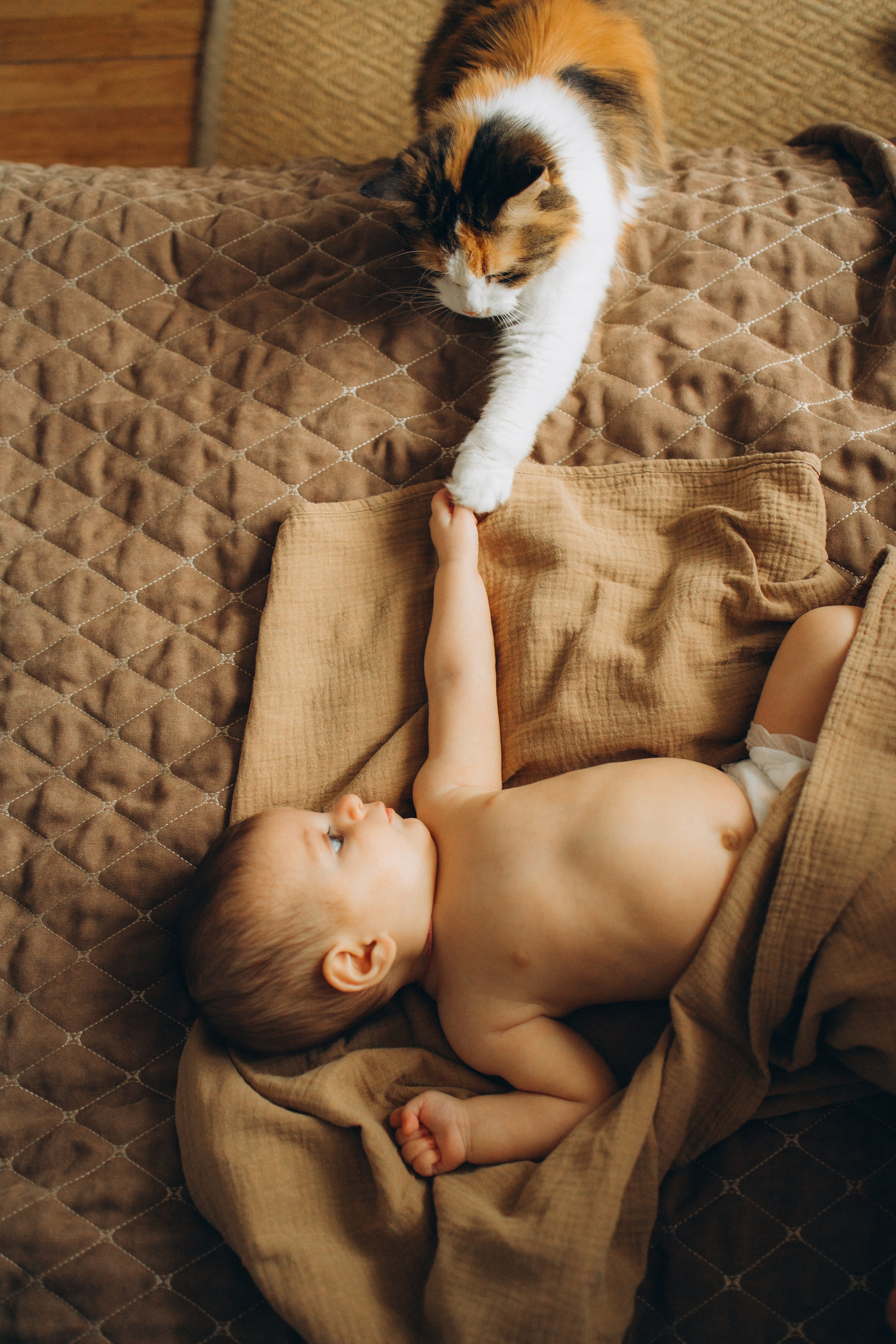 Семейная съёмка. Фотограф Анастасия Бобылева, Москва и Московская область