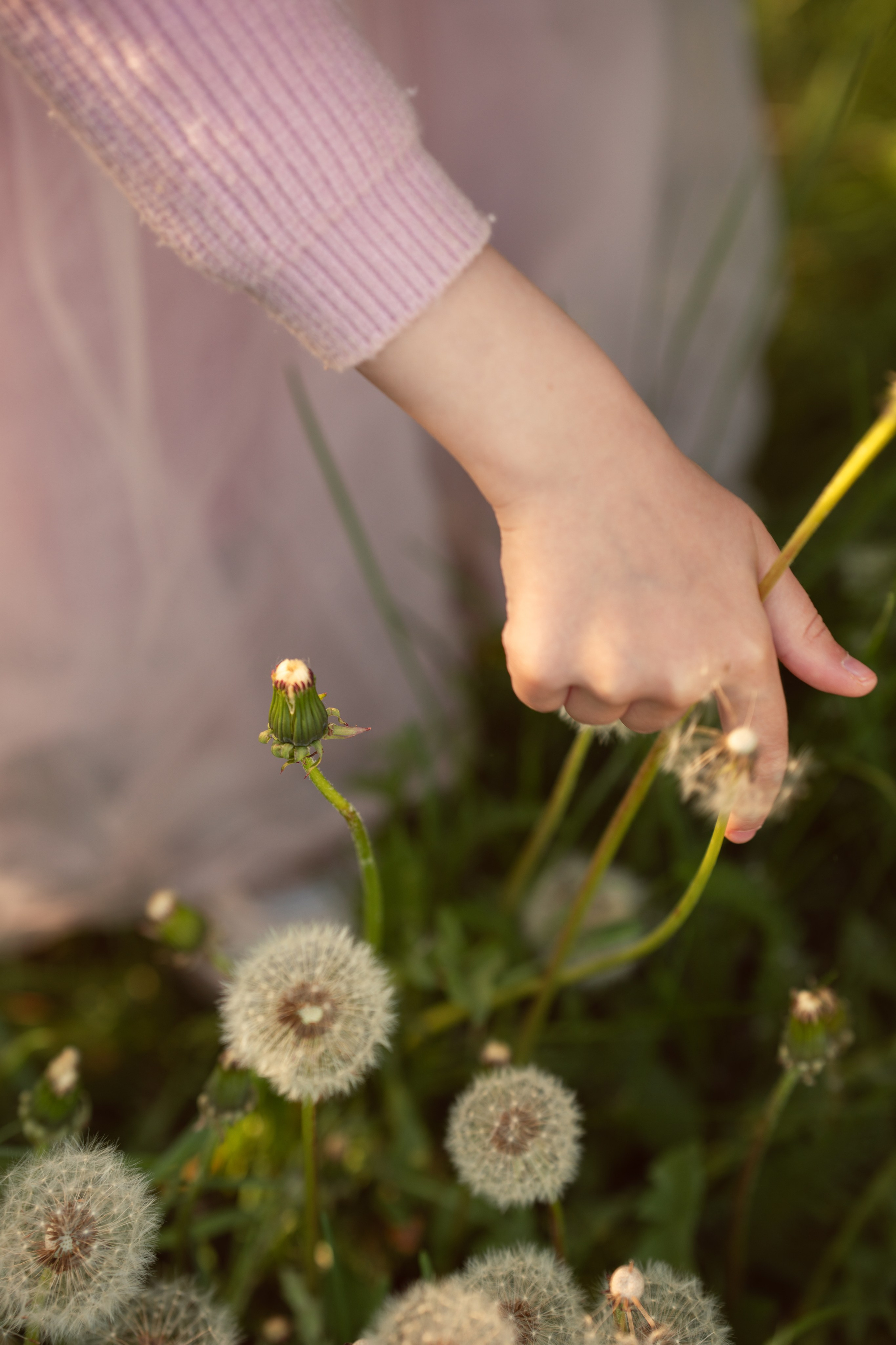 Ксюшенька в яблоневом саду. Семейный и портретный фотограф в Санкт-Петербурге Татьяна Гримоть