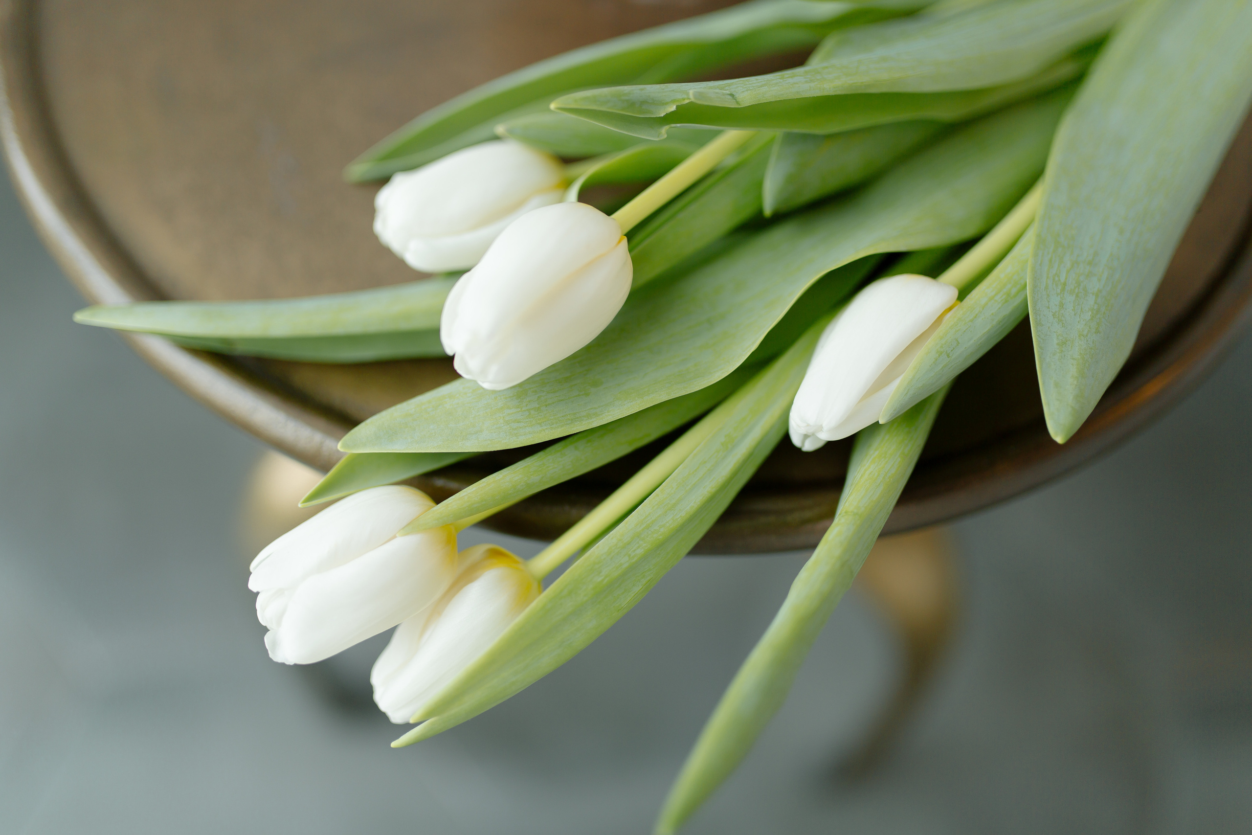 Оксана Ширяева. Свадебный и семейный фотограф в Уфе