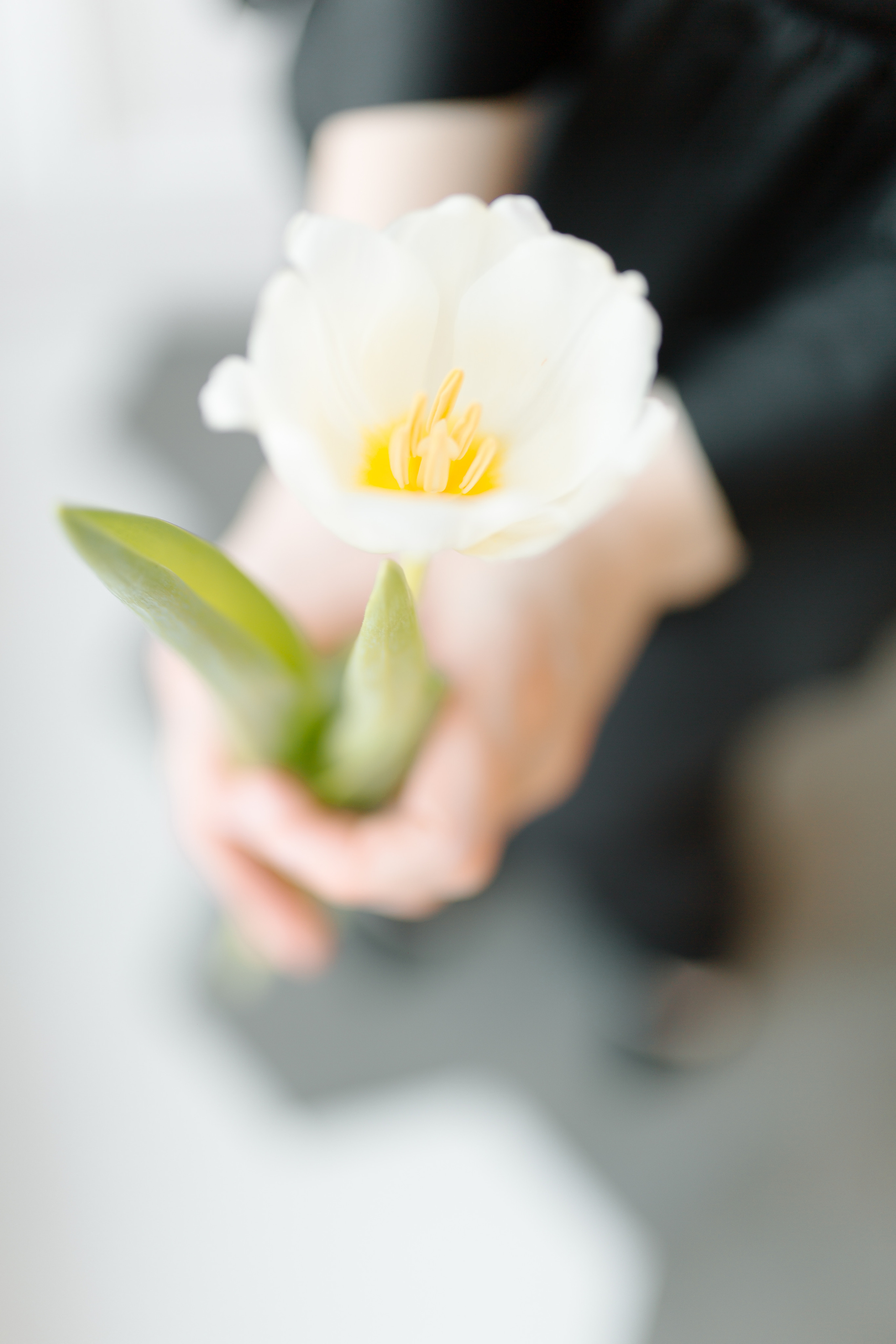 Оксана Ширяева. Свадебный и семейный фотограф в Уфе