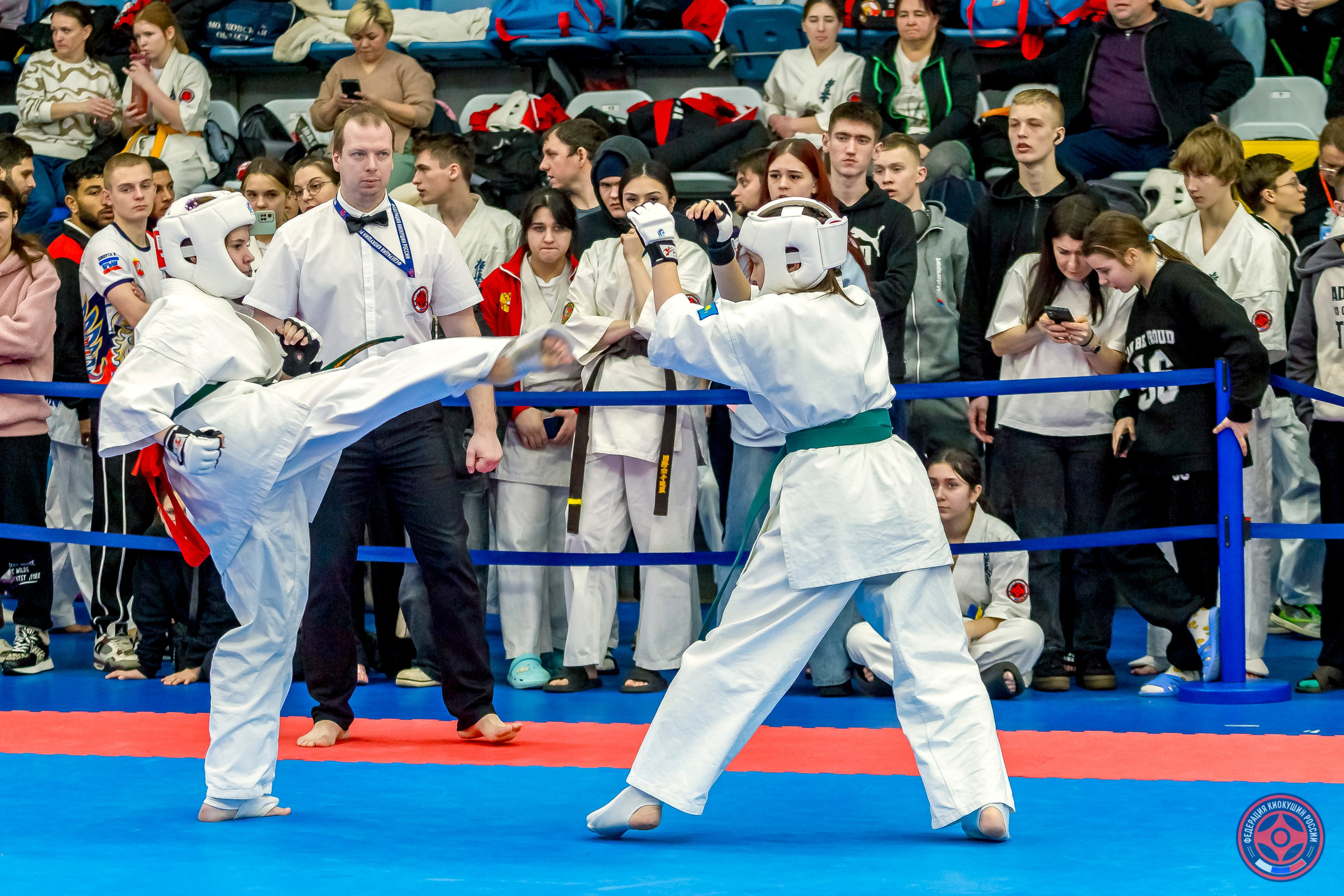 Международный турнир по киокушин «Открытый кубок Seiken». Репортажная съемка в Москве и области. Анималистика