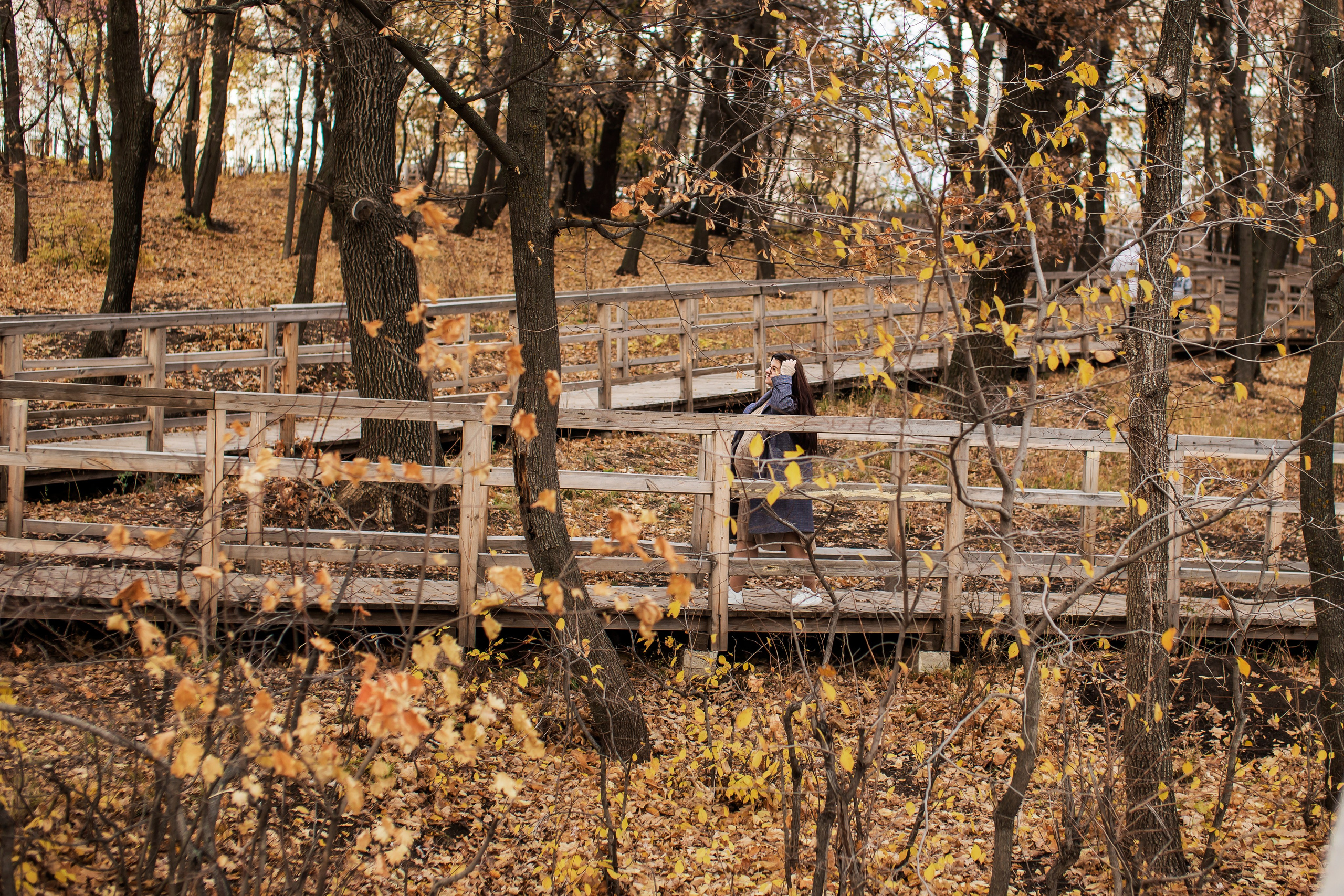 Осень. Семейный фотограф в Саратове