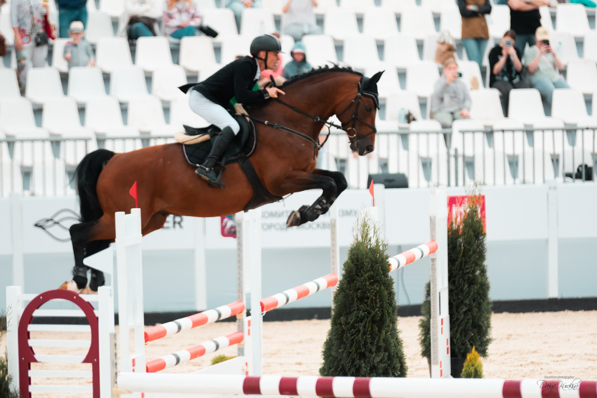 BITRIVER CUP 2023. Конный фотограф Куракина Дарья • Фотосессии с лошадьми