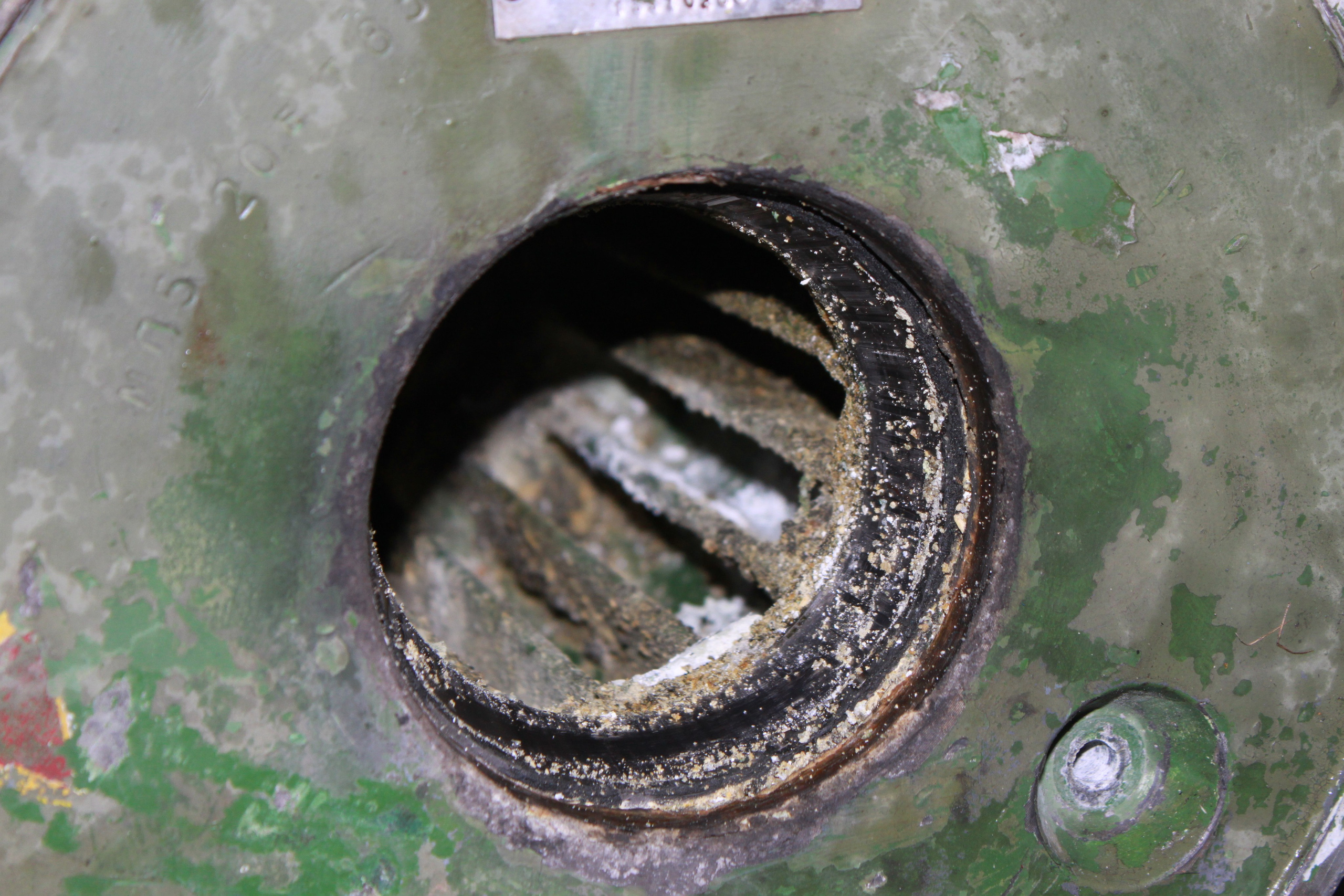 Ил-14Т «Голубая Мечта» работы в Тушино (2011 г.). Фотоальбом показывающий увлекательный мир авиации и мир медведей Андрея Иванова