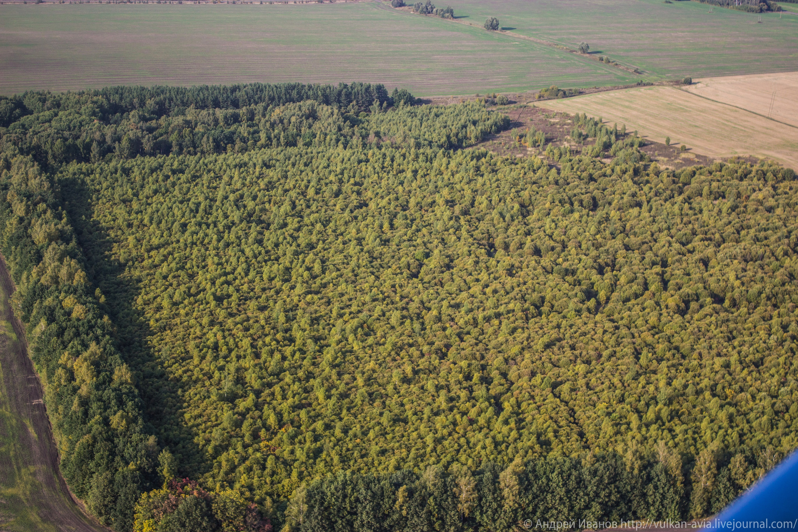 Волгодонск аэр. Потапов слёт «Небо для всех» (2021 г.). Фотоальбом показывающий увлекательный мир авиации и мир медведей Андрея Иванова