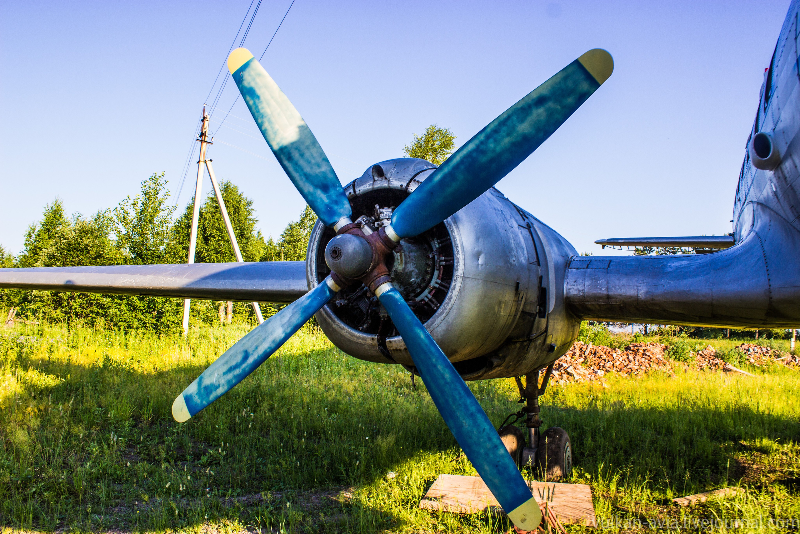 Ил-14 (Пермь, Фролы). Фотоальбом показывающий увлекательный мир авиации и мир медведей Андрея Иванова