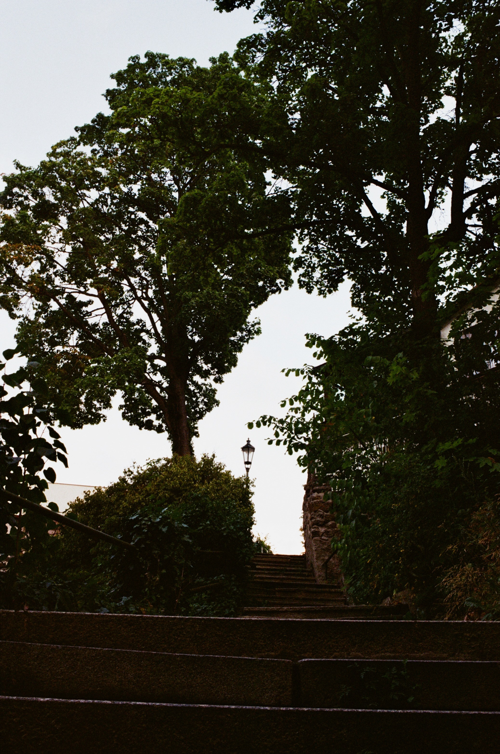 Film. Ruslan UI Dev Page