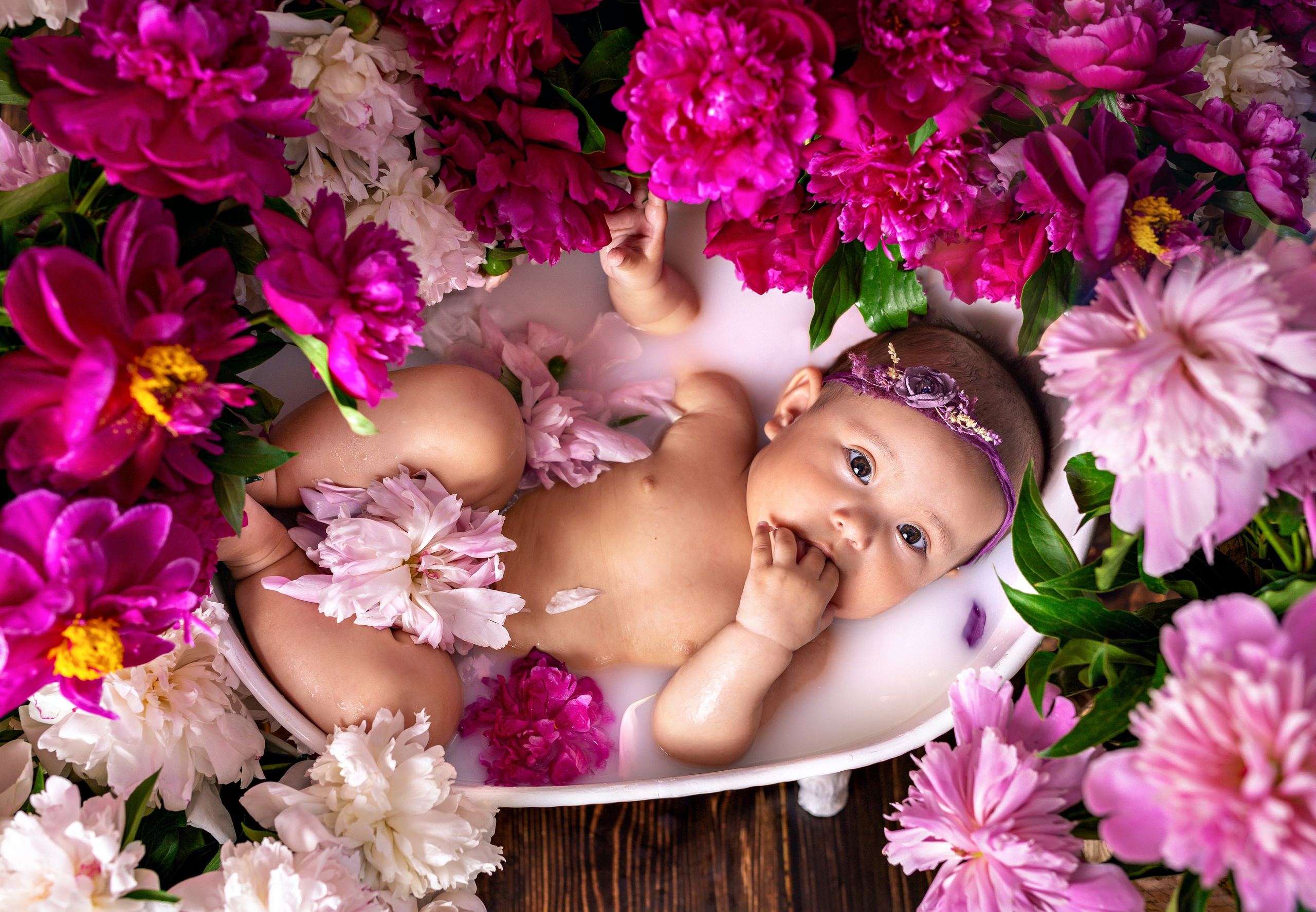 Пионы, молочные ванны. Фотограф Болотова Иветта