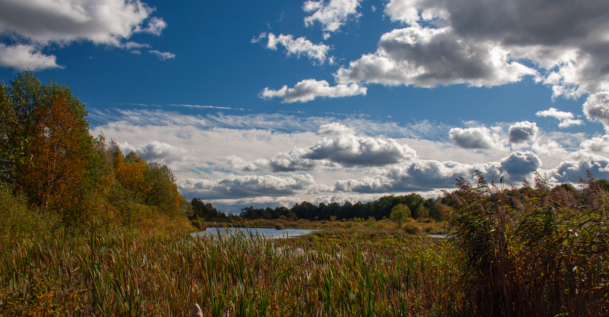 Влад в походе
