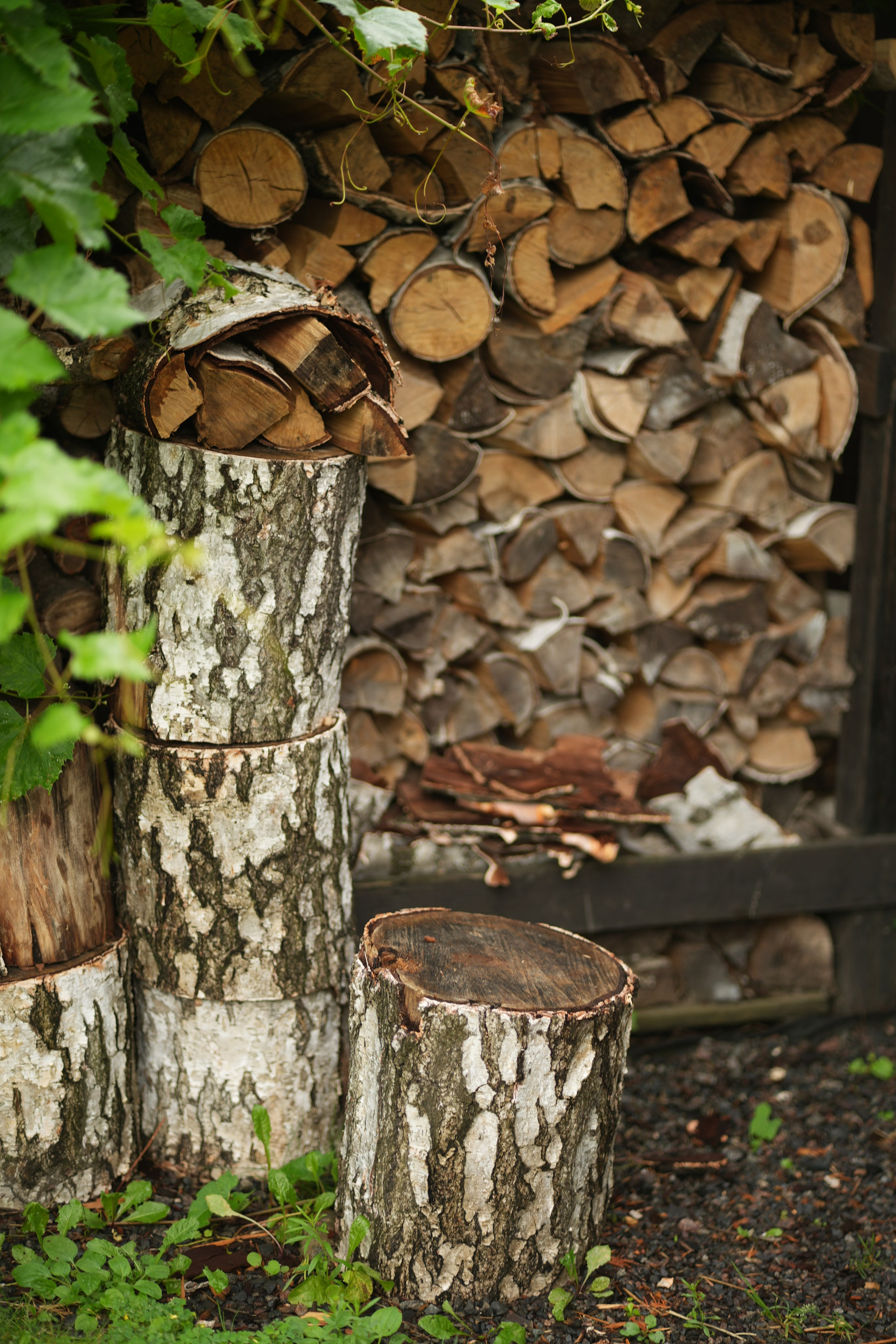 Час 1500 пример фотосессии пакет «ФОТО НА ПАМЯТЬ» (без обработки). Фотограф Нижний Новгород Татьяна Кэйод