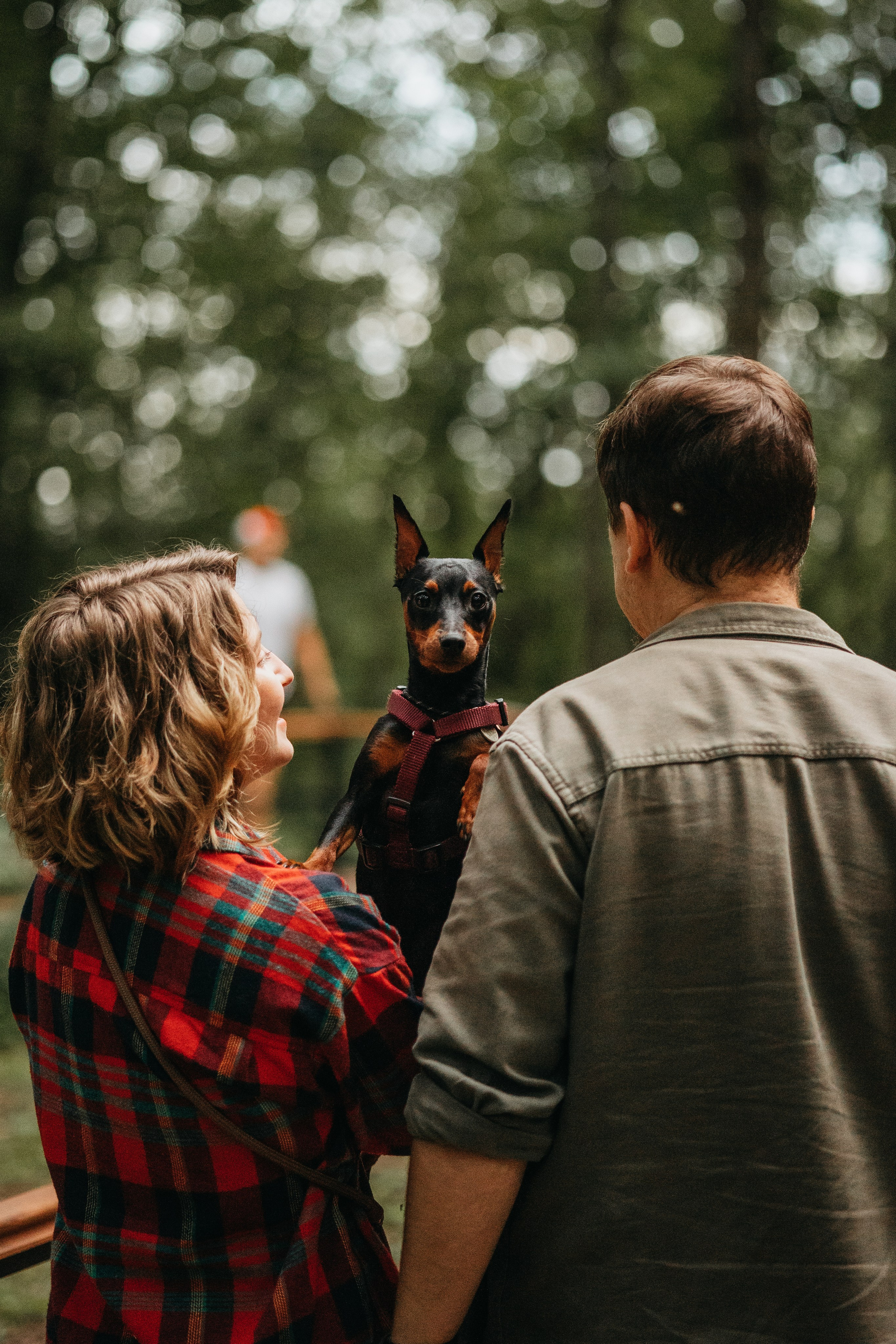 Сириус и его семья. Фотограф — Анималист | Санкт-Петербург