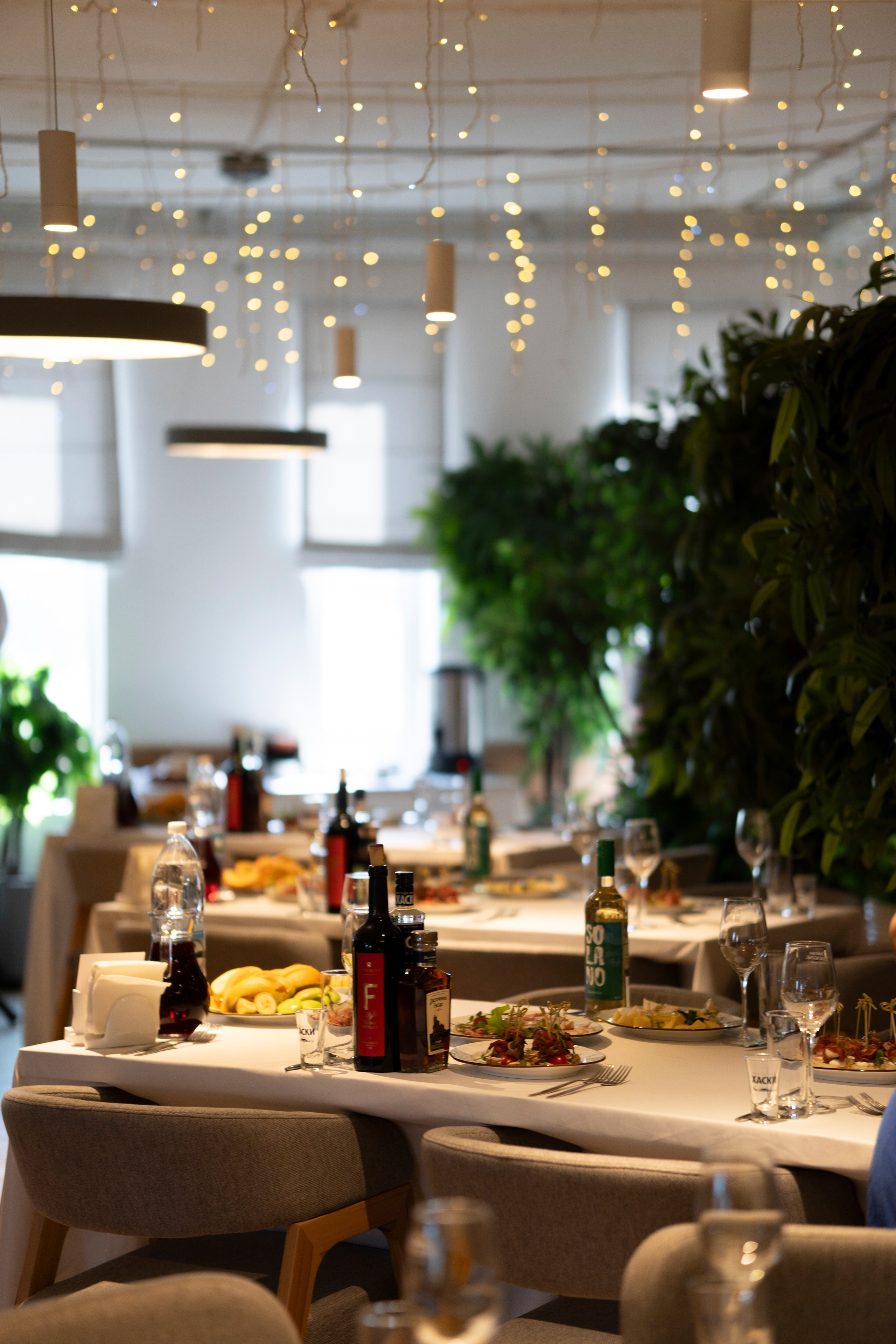 Рестораны. Maxon Magnusson