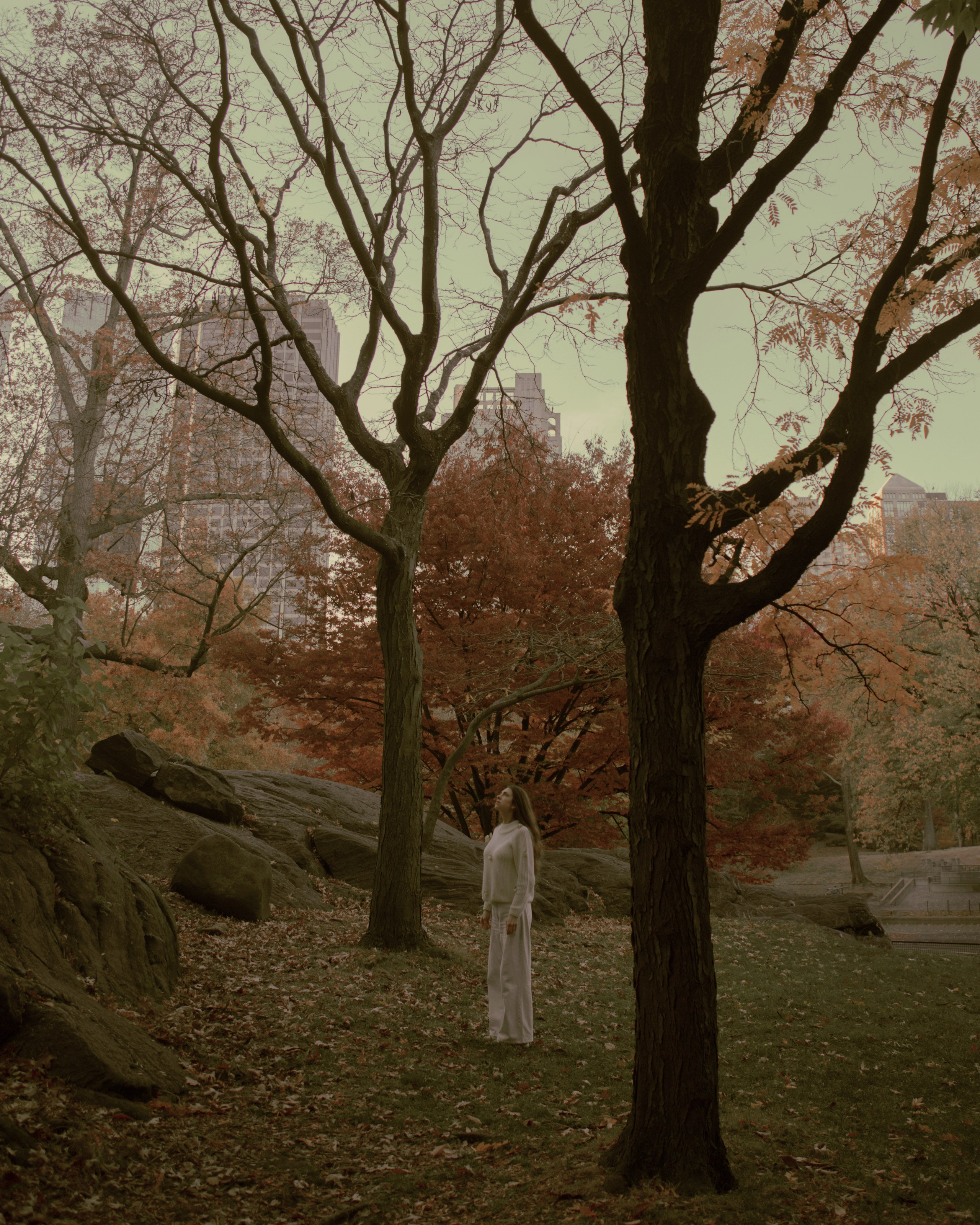 Прайс. Фотограф в Нижнем Новгороде и Москве Алина Абрамова