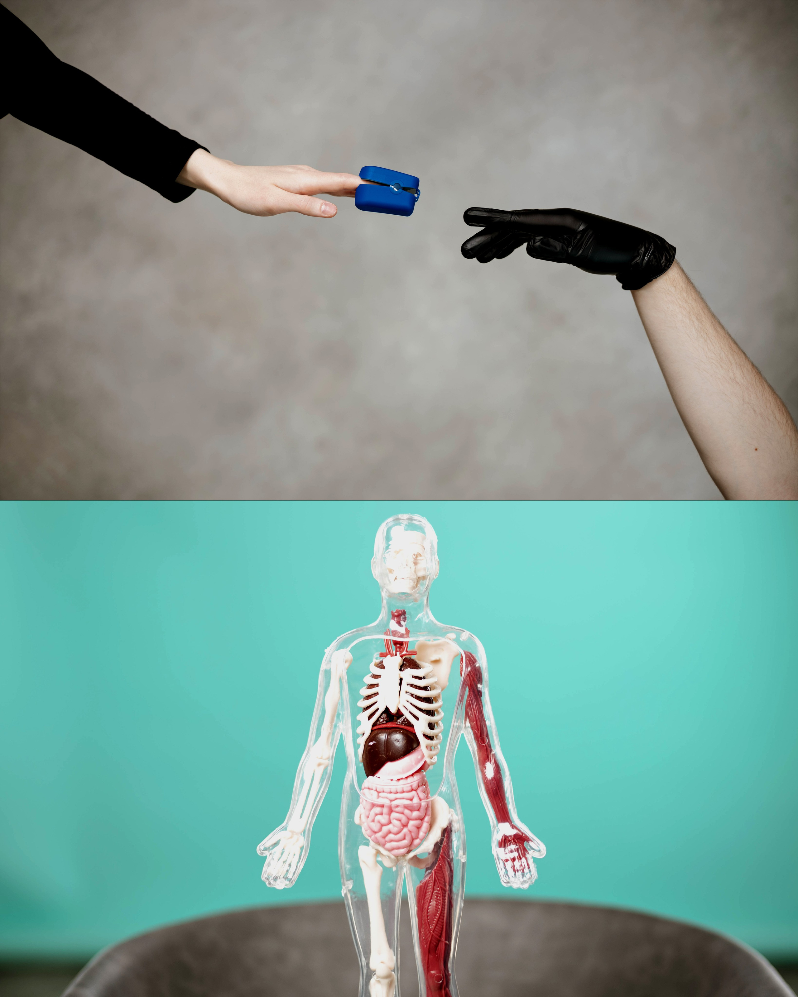 РНИМУ, Лечебный факультет, 1.6.02А. Индивидуальный фотограф в Москве