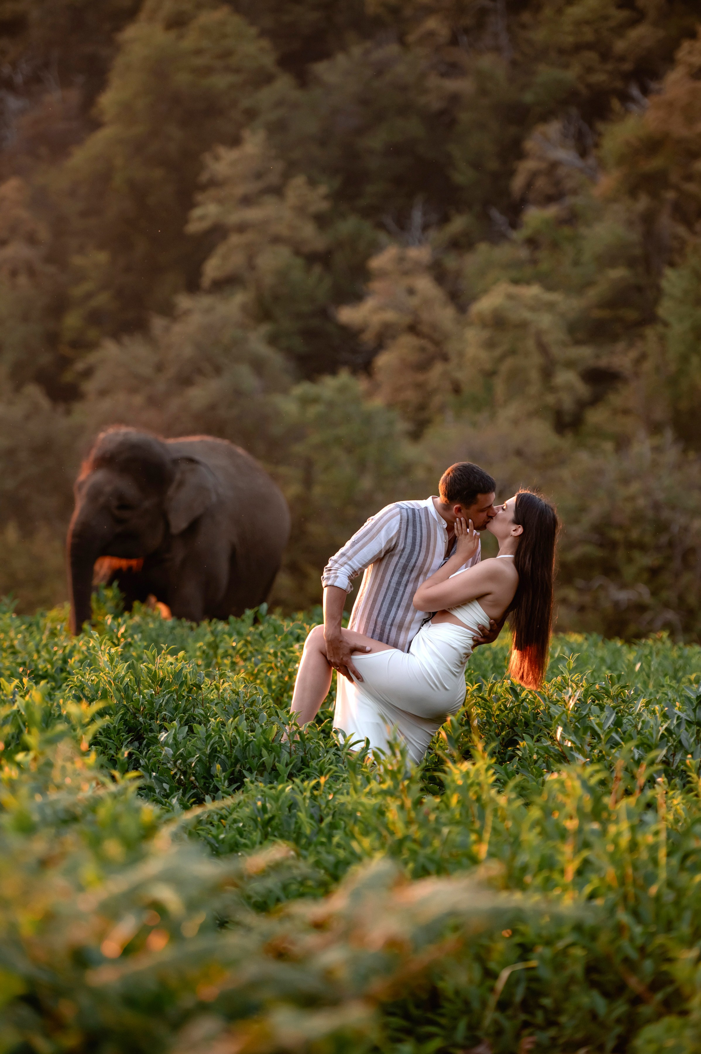 Ангелина и Вячеслав. Фотограф в сочи Свадебный фотограф Сочи