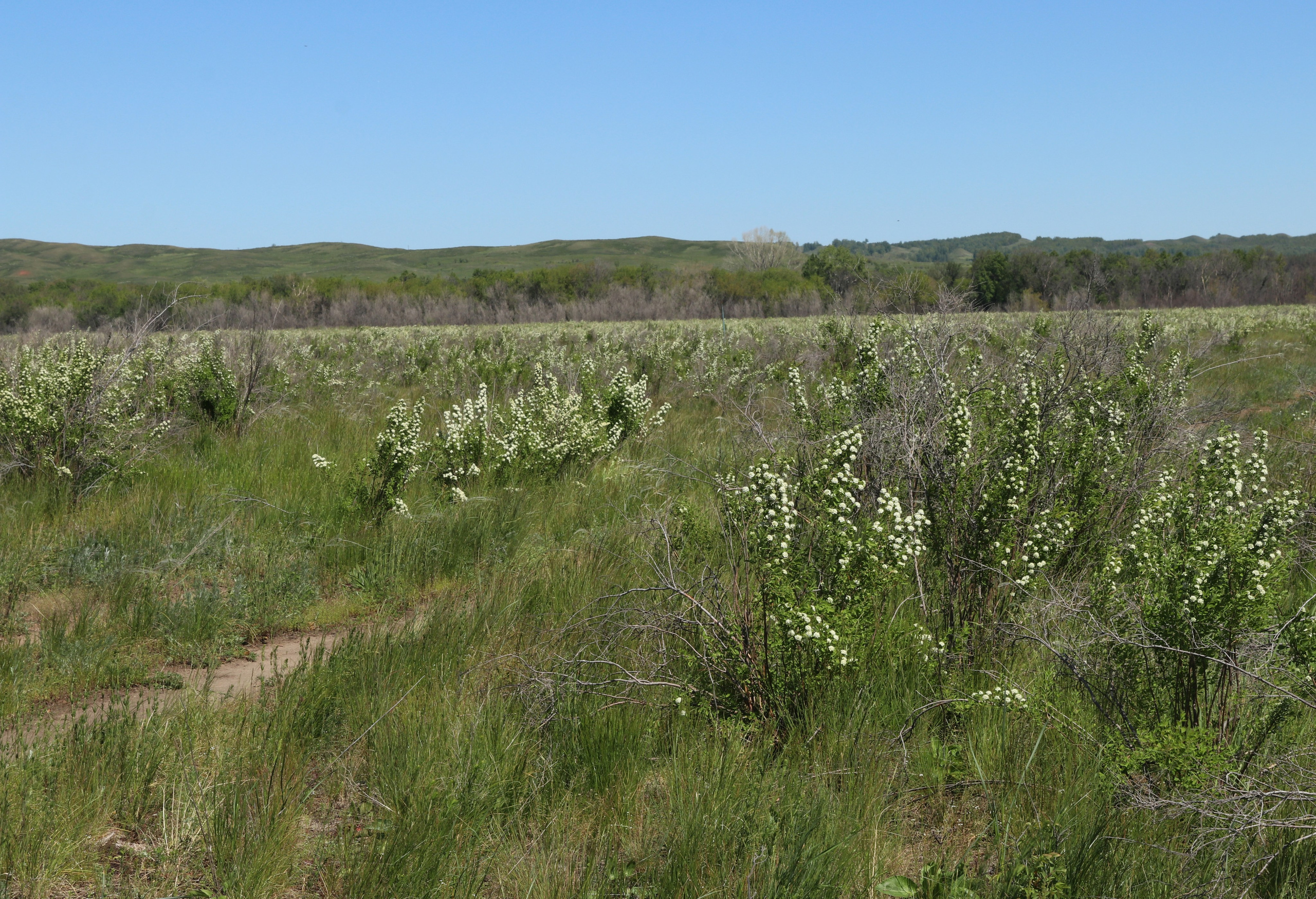 Велопоход Уфа — Мелеуз. Май 2024. Путешественник-фотограф из Санкт-Петербурга Татьяна Свистулина