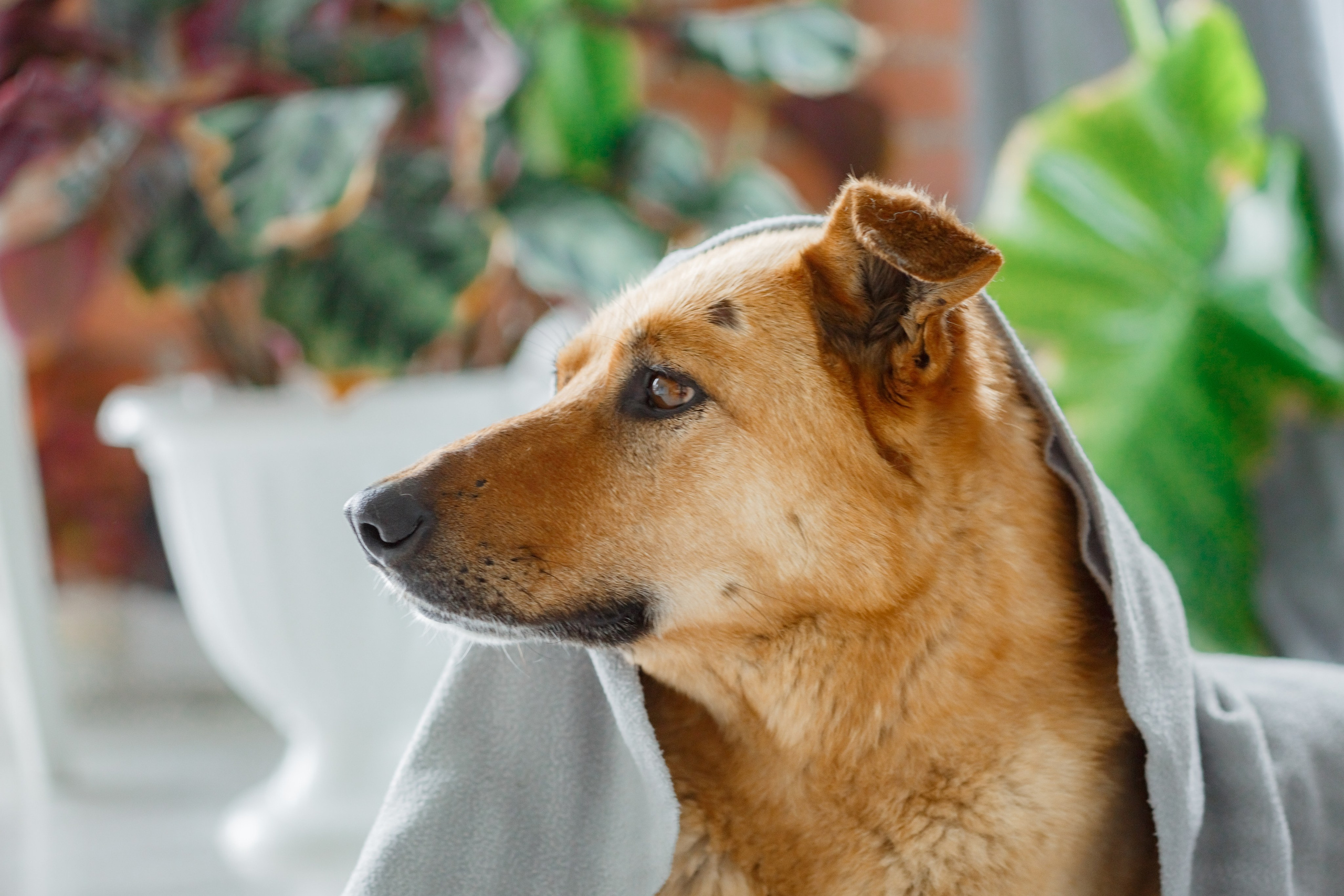 Джесси. Семейный фотограф в Екатеринбурге