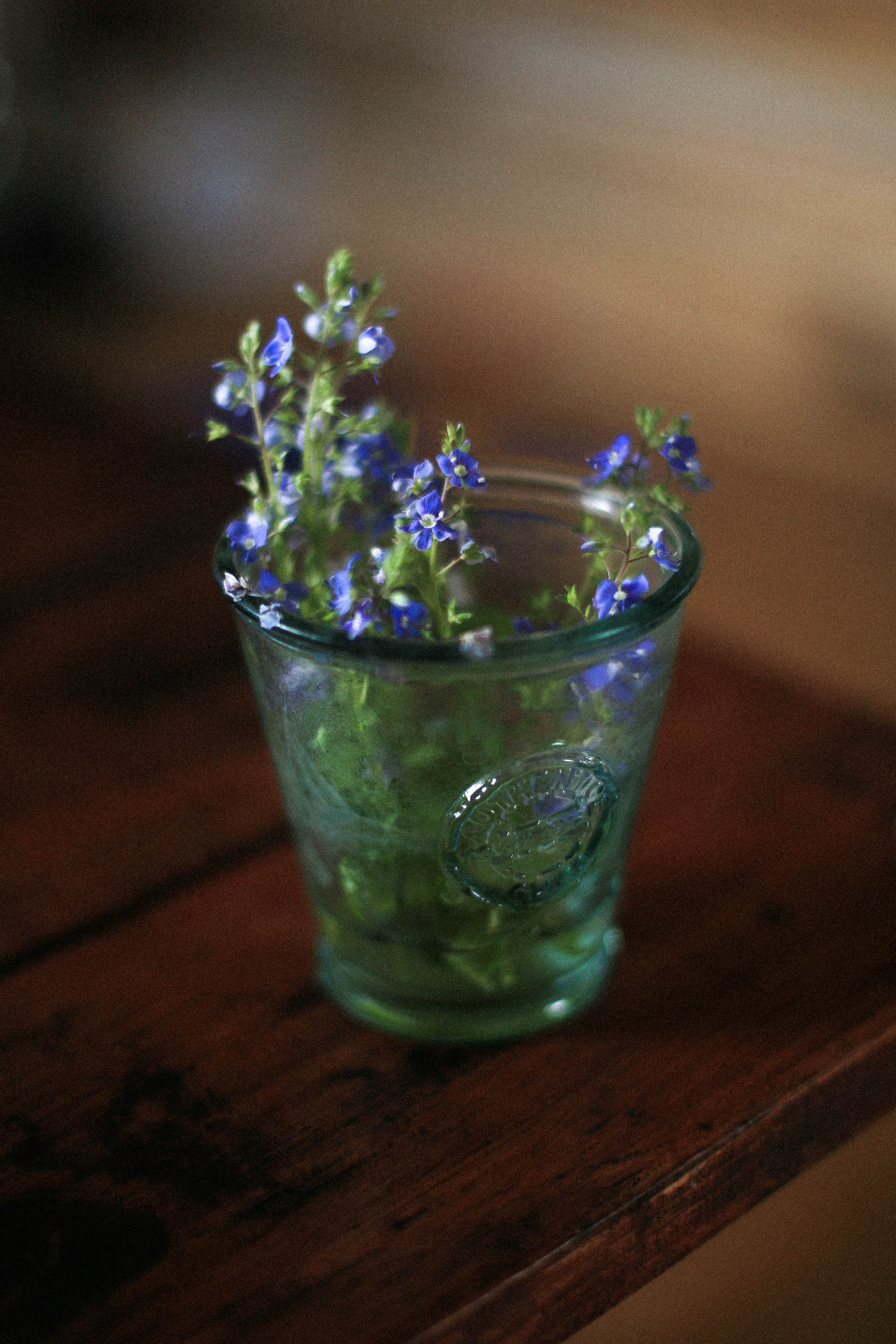 Курс «Психология на грядке». АRТ&PSY | Искусство психологии