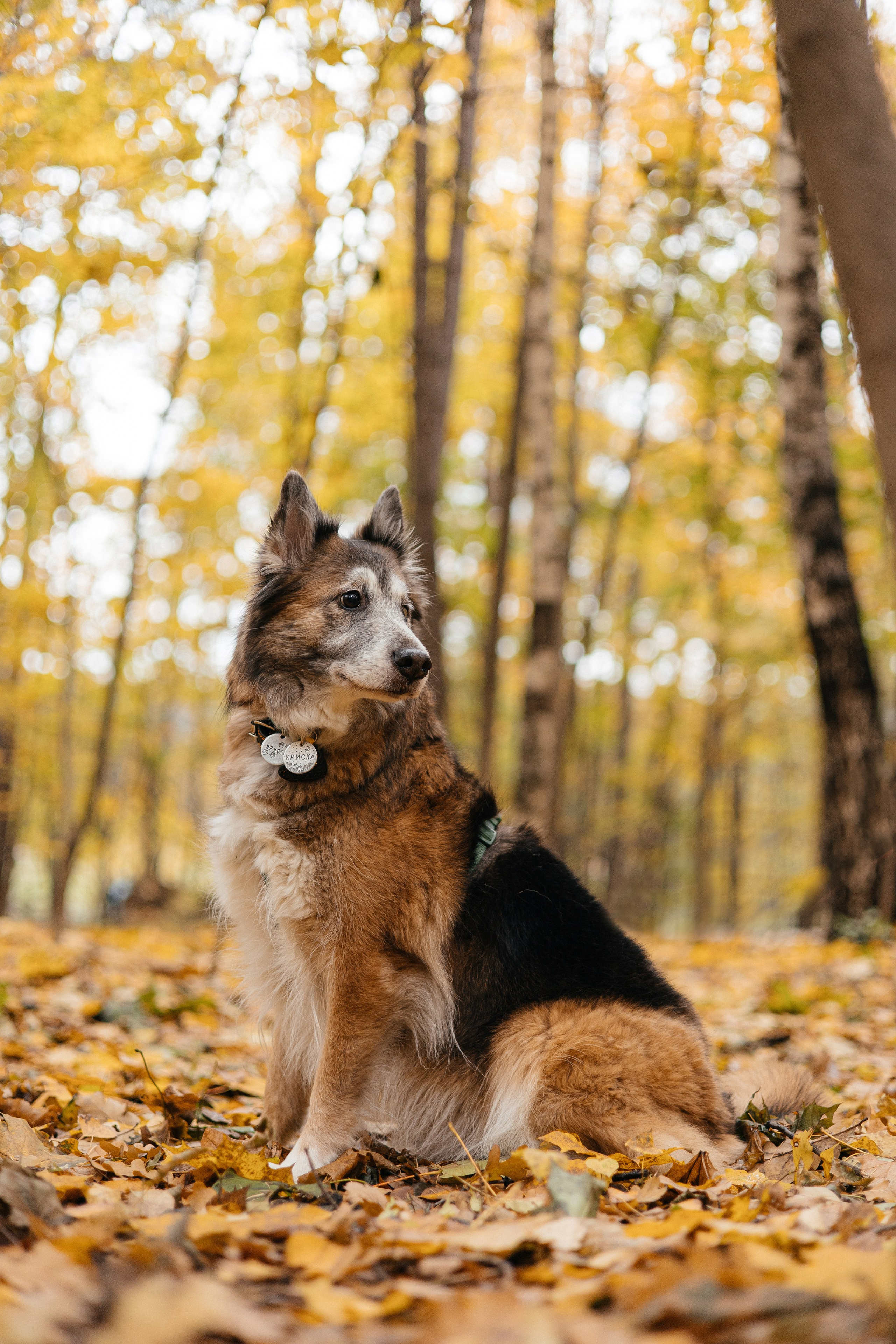 Аня и Ириска. Фотограф Анна Луценко Москва