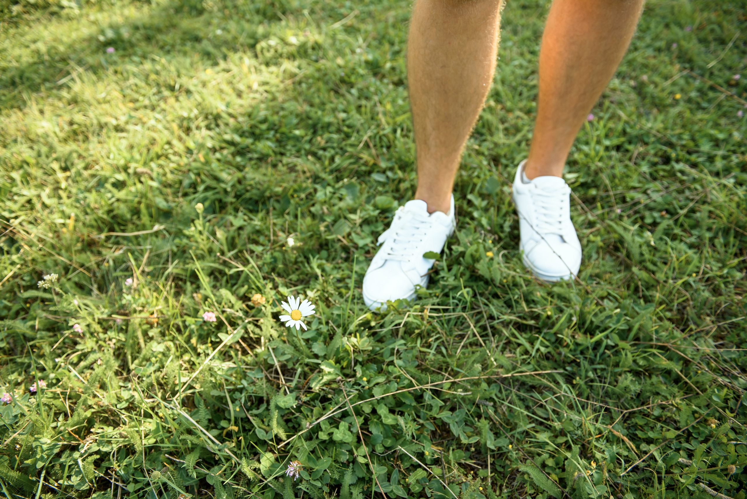 Саша Аня. Свадебный фотограф в Крыму и Севастополе Муравьев Артур