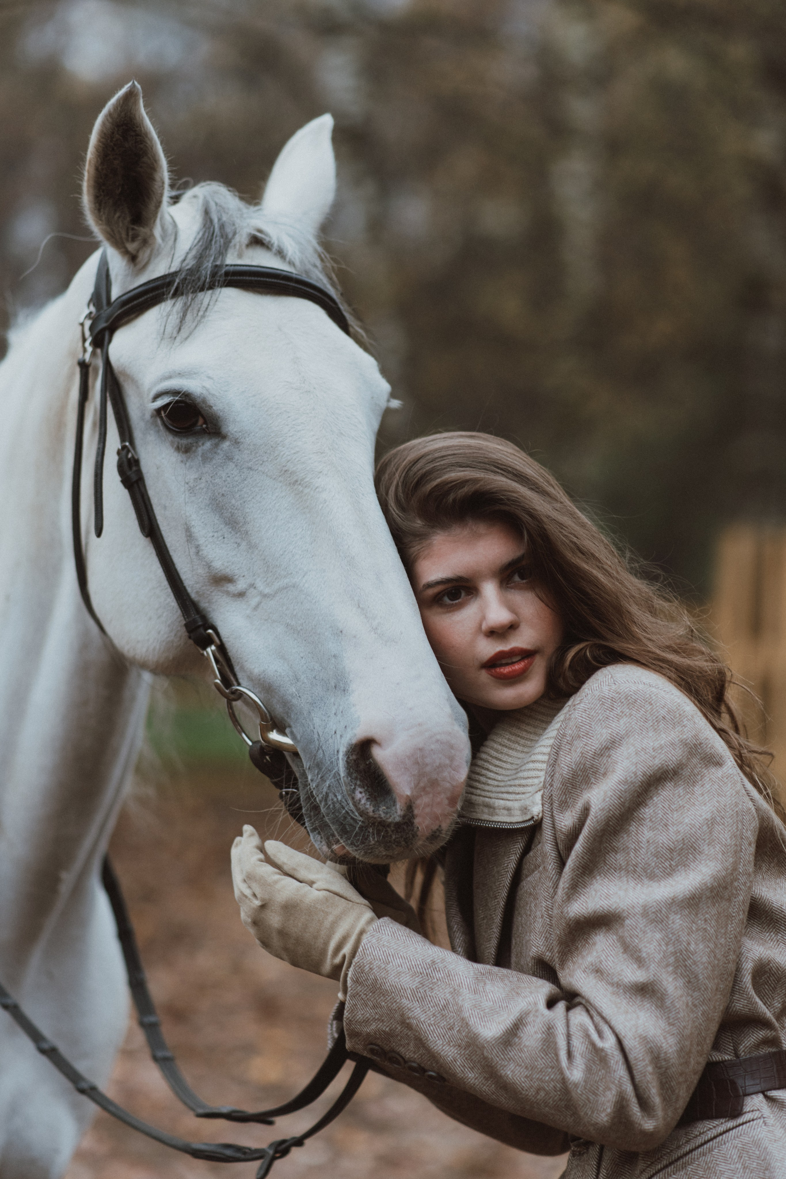 «Осенний ветер и грациозный скакун». Фотограф в Москве/Зарайске Шахова Марина