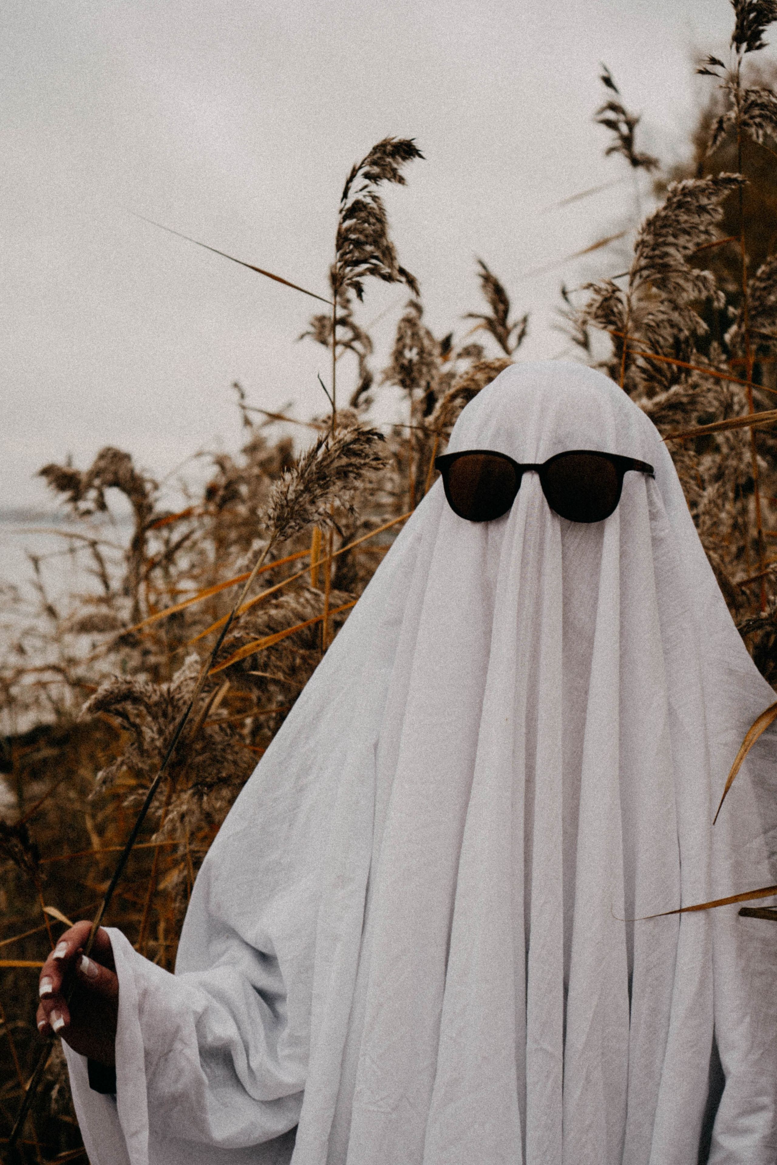 Осеняя. Профессиональный фотограф, Санкт-Петербург — Виктория Богомолова