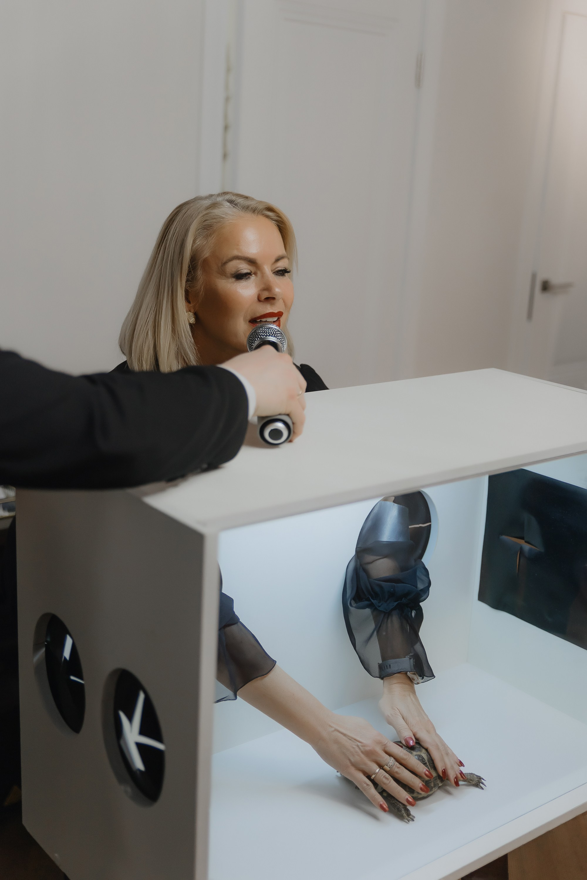 Открытие нового пространства интерьерного салона L. DECO в феврале 2025. L. Deco интерьерный салон. Краски/обои/лепной декор