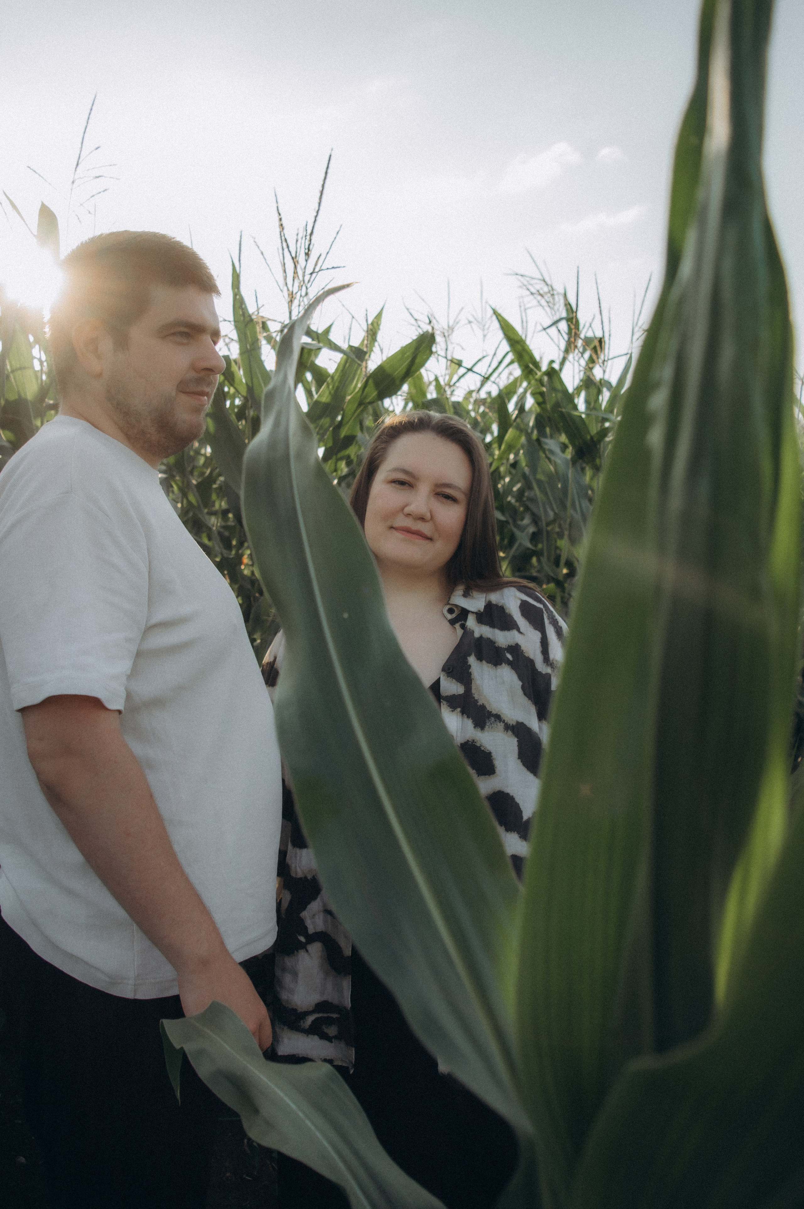 Лето, семья, кукуруза. Семейная летняя фотосессия. Юлия Левада Семейный и женский фотограф