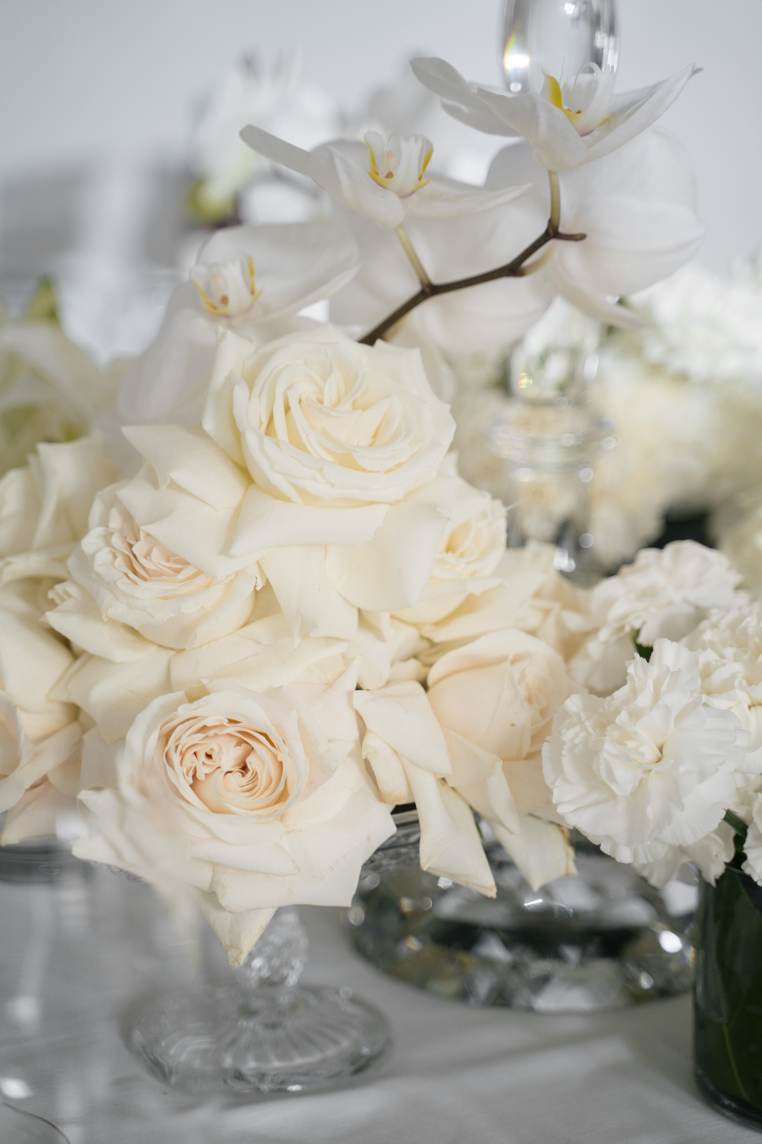 Villa Carminati Resta. Valeria Coconova Photographer Italy Como Milan