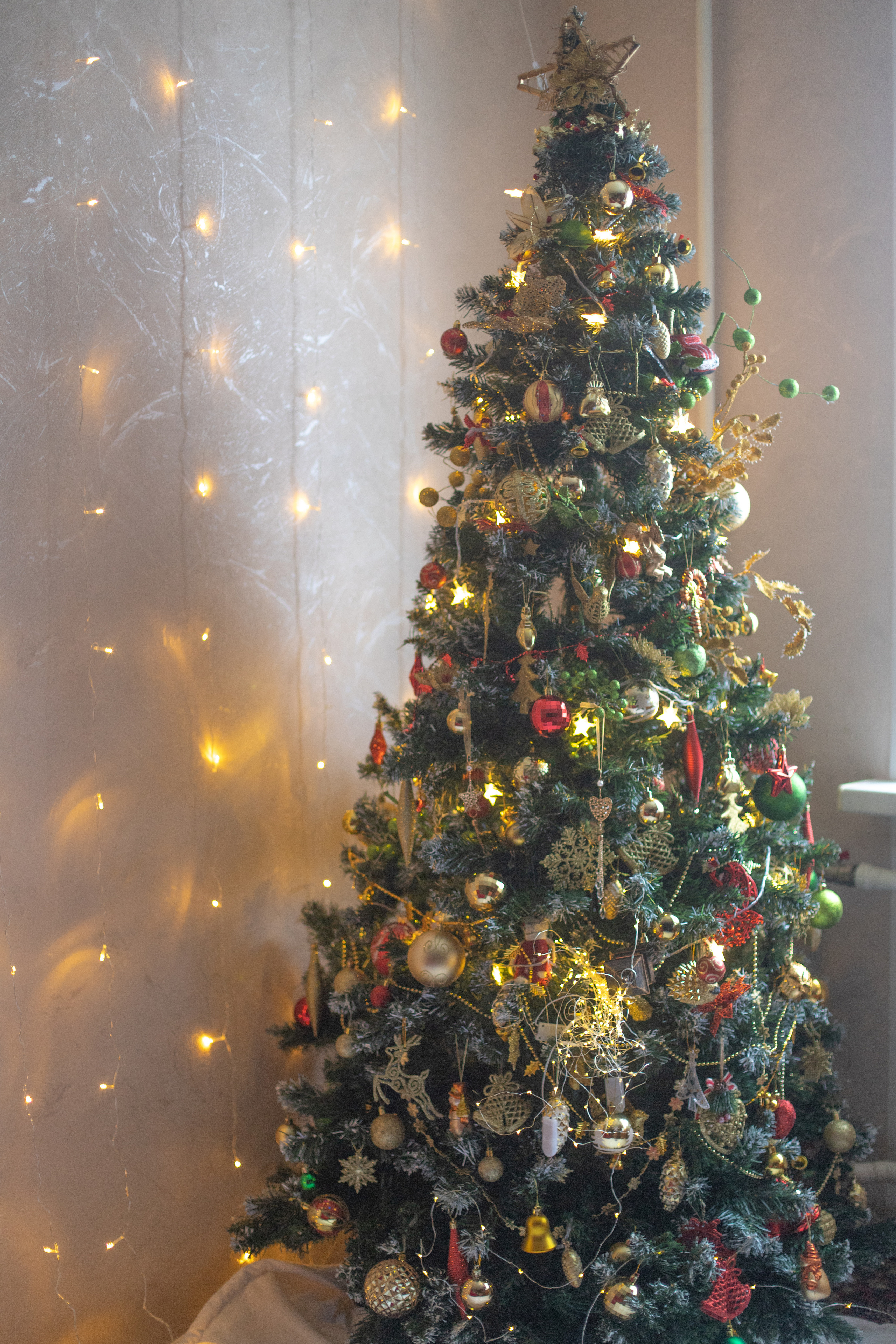 Домашняя съемка. Семейный свадебный интерьерный фотограф Тверь Санкт- Марина Свистунова