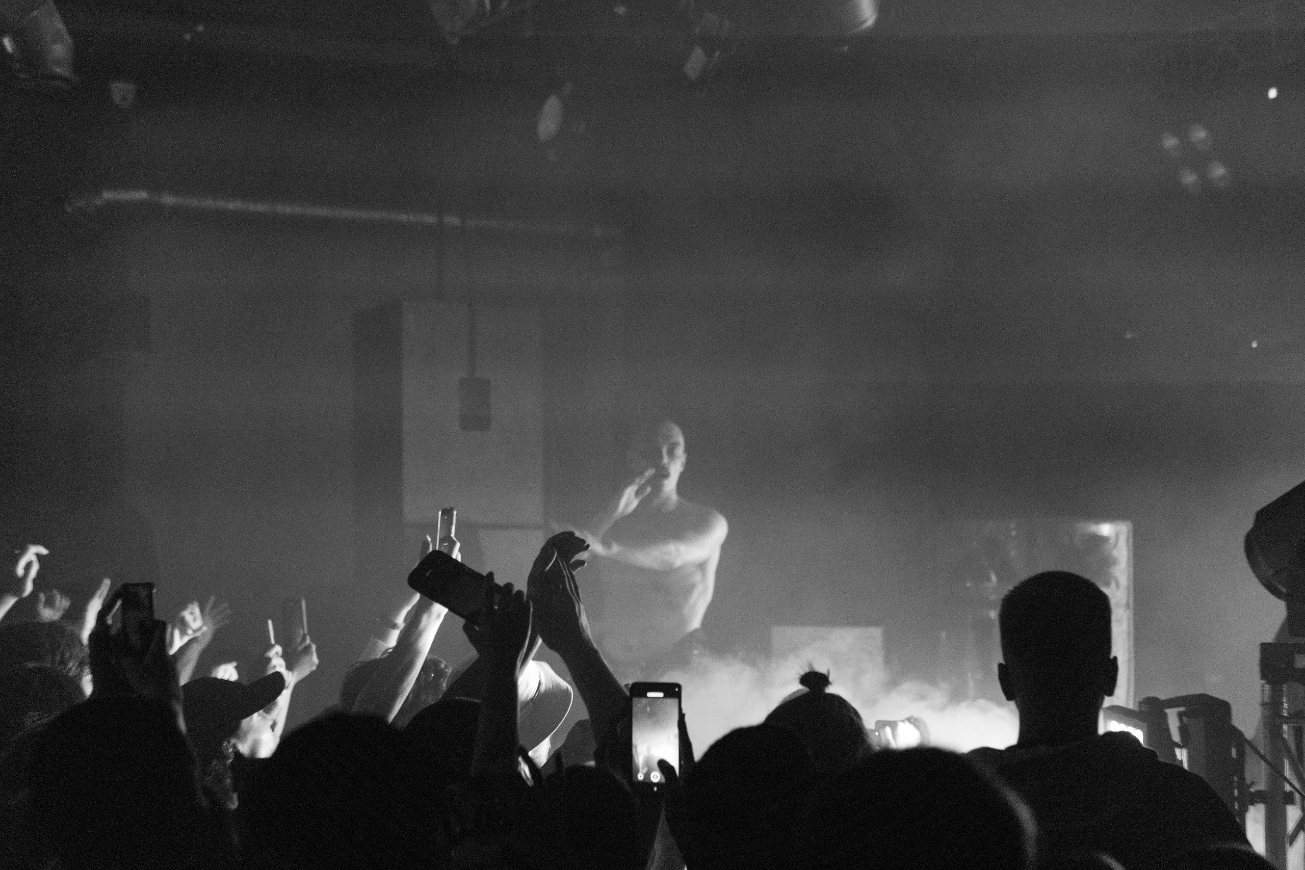 Хаски — Смоленск 23.05.2025. KiPPER Gallery — Фотограф