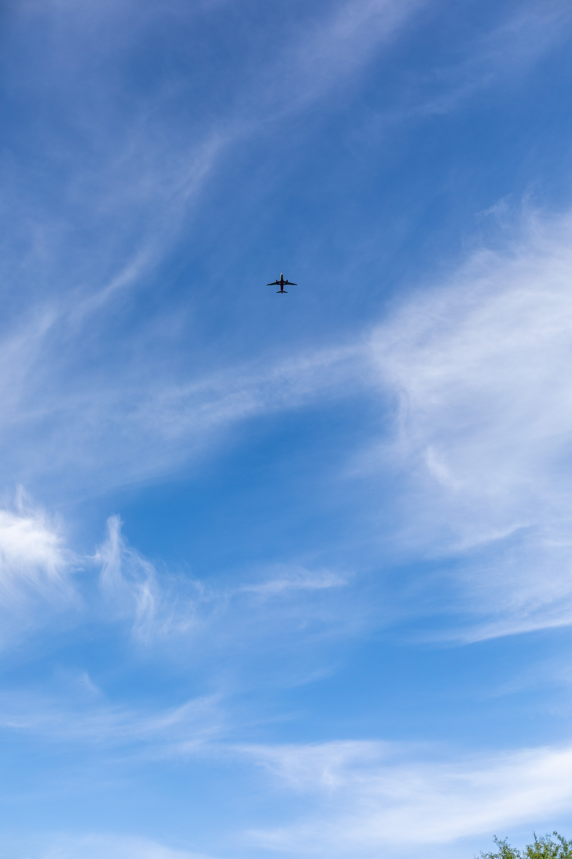 Репортаж из поездки в Городец. Фотограф в Костроме, Ярославле, Москве Светлана Заведеева