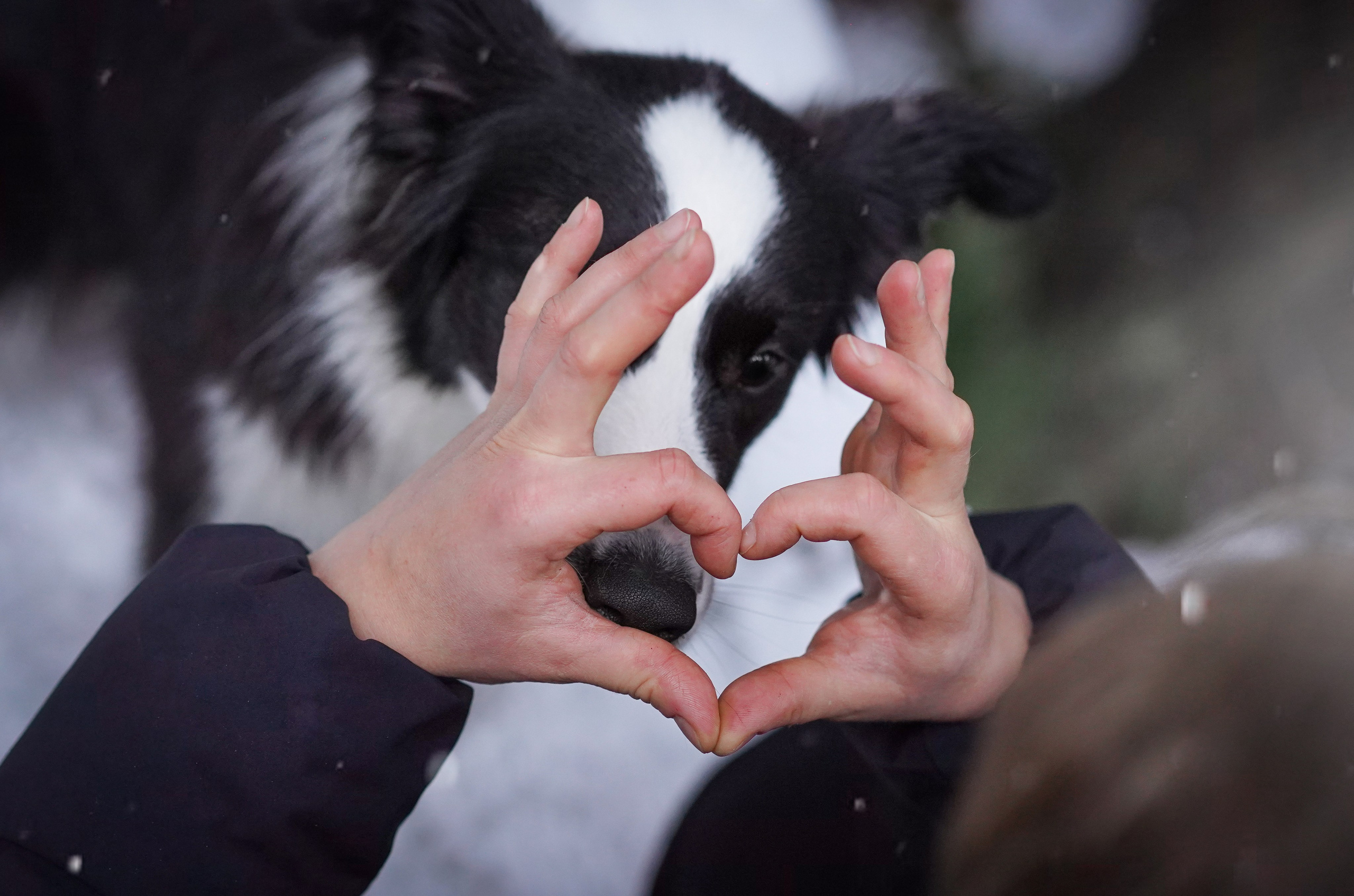Юлия и Груша. Фотограф-анималист в Санкт-Петербурге Яна Мартынова