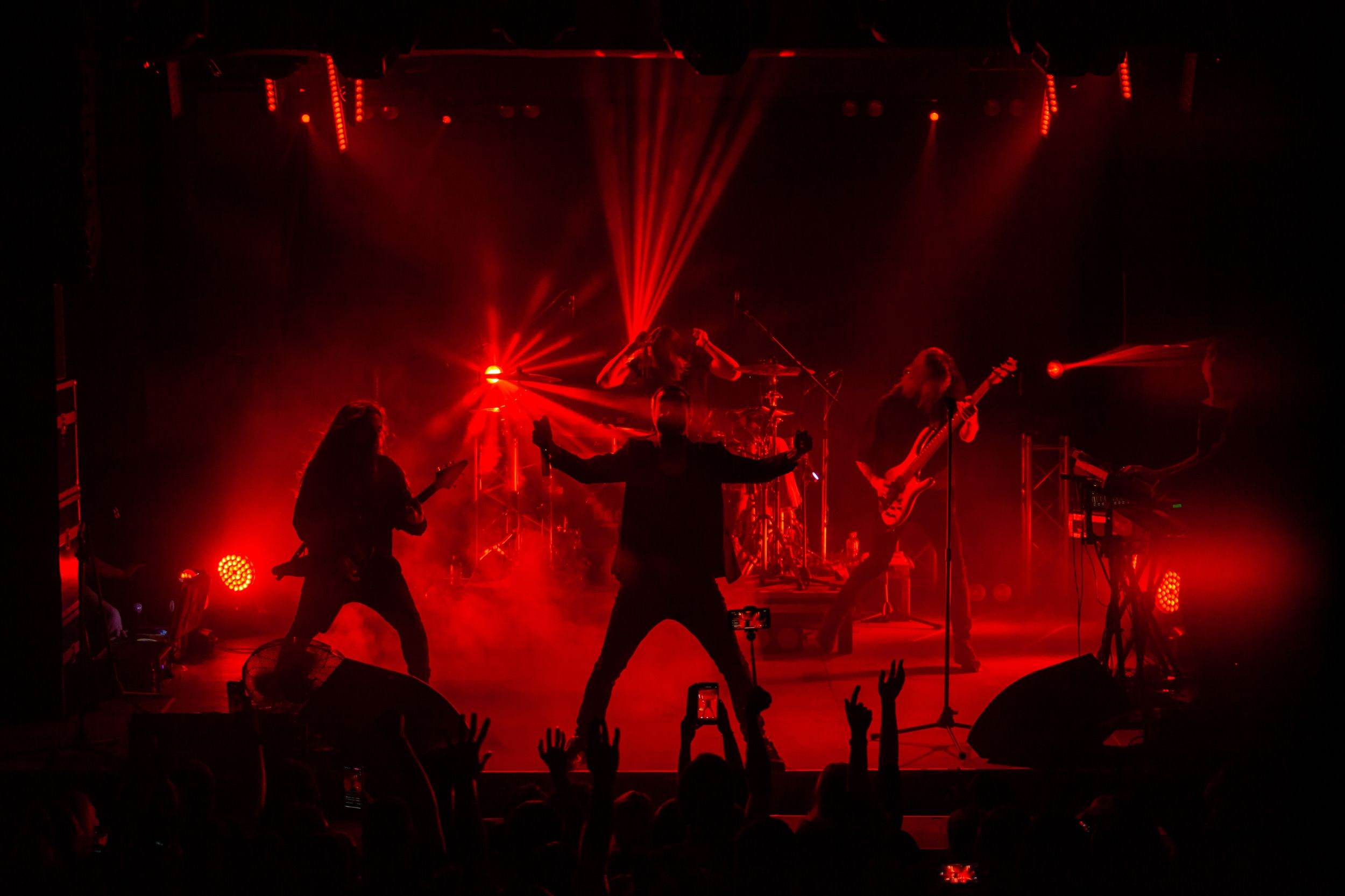 Animal ДжаZ. Репортажный фотограф Алексей Пирязев