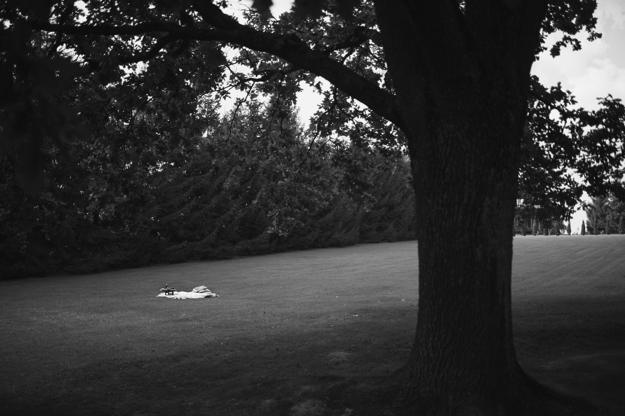 УСАДЬБА ГАНКА. Cheta Kovalevsky фотографы