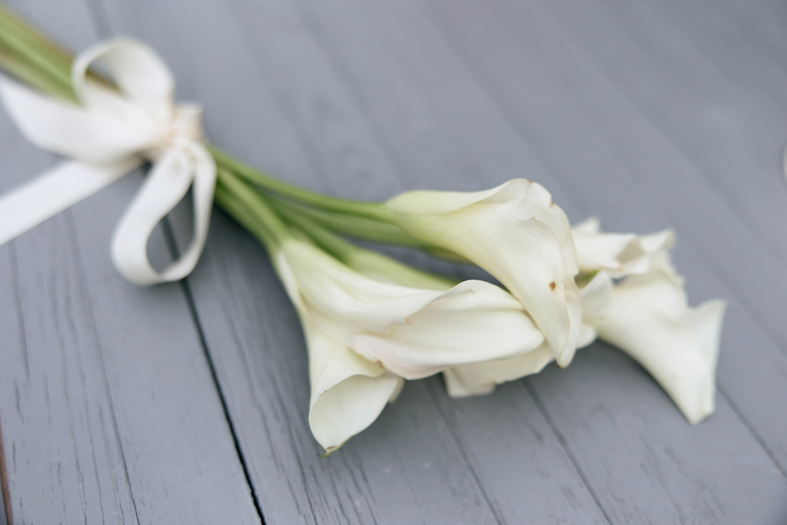 Свадебная фотосессия Настя, Макс и Карюша. Свадебный фотограф Москва