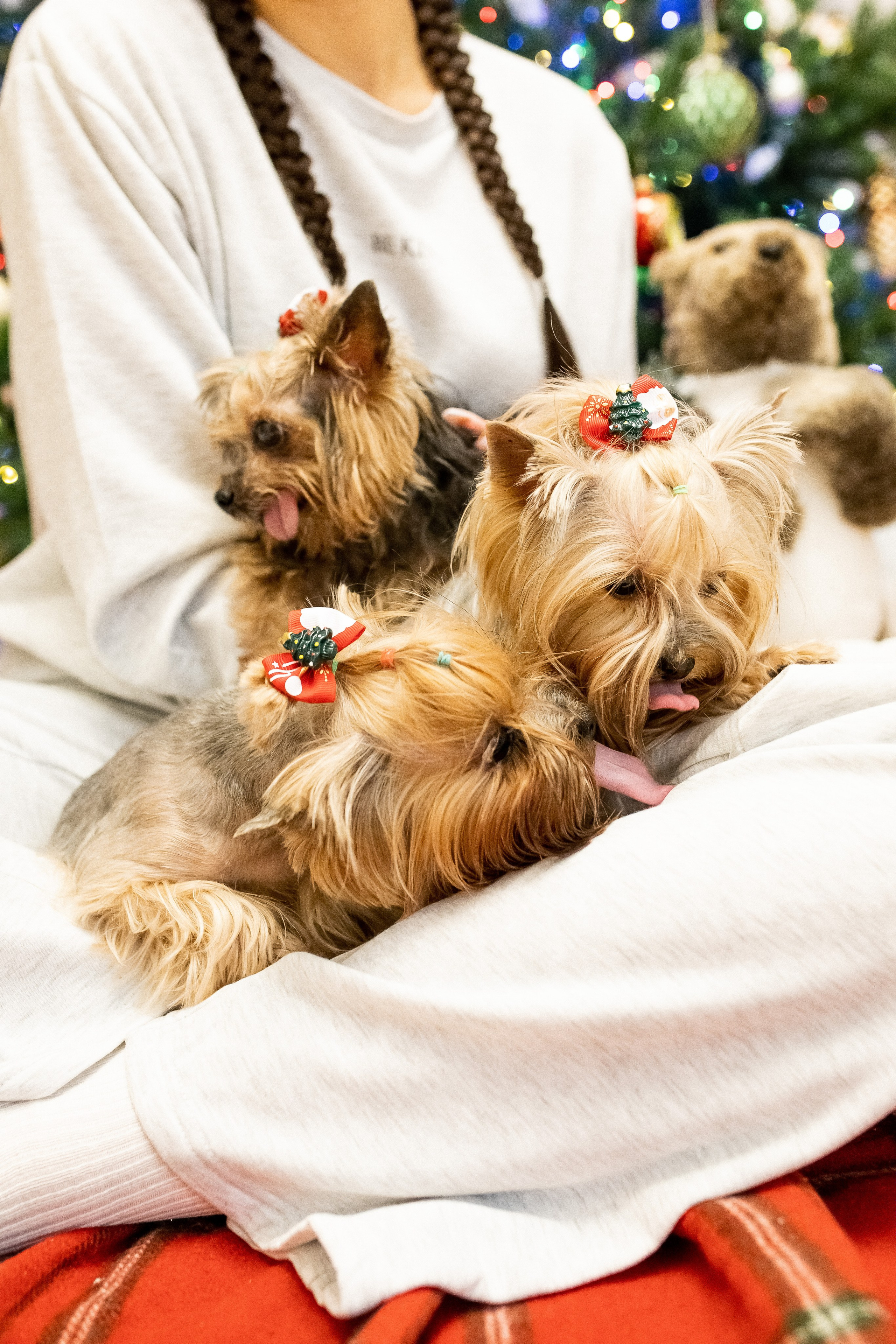Тома и Даня с питомцами!. Профессиональный фотограф, Москва |Видное Елена Елизарова
