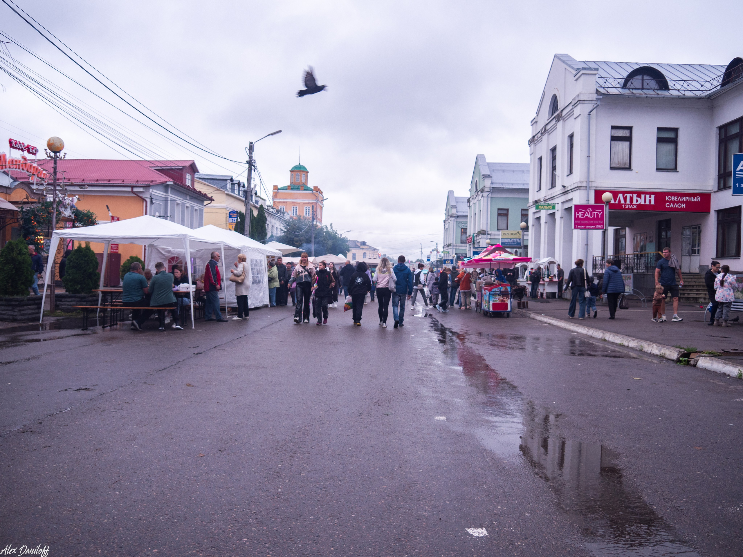 День города Муром 2025. Муром-Инфо. Новости культуры, образования, спорта в городе Муром