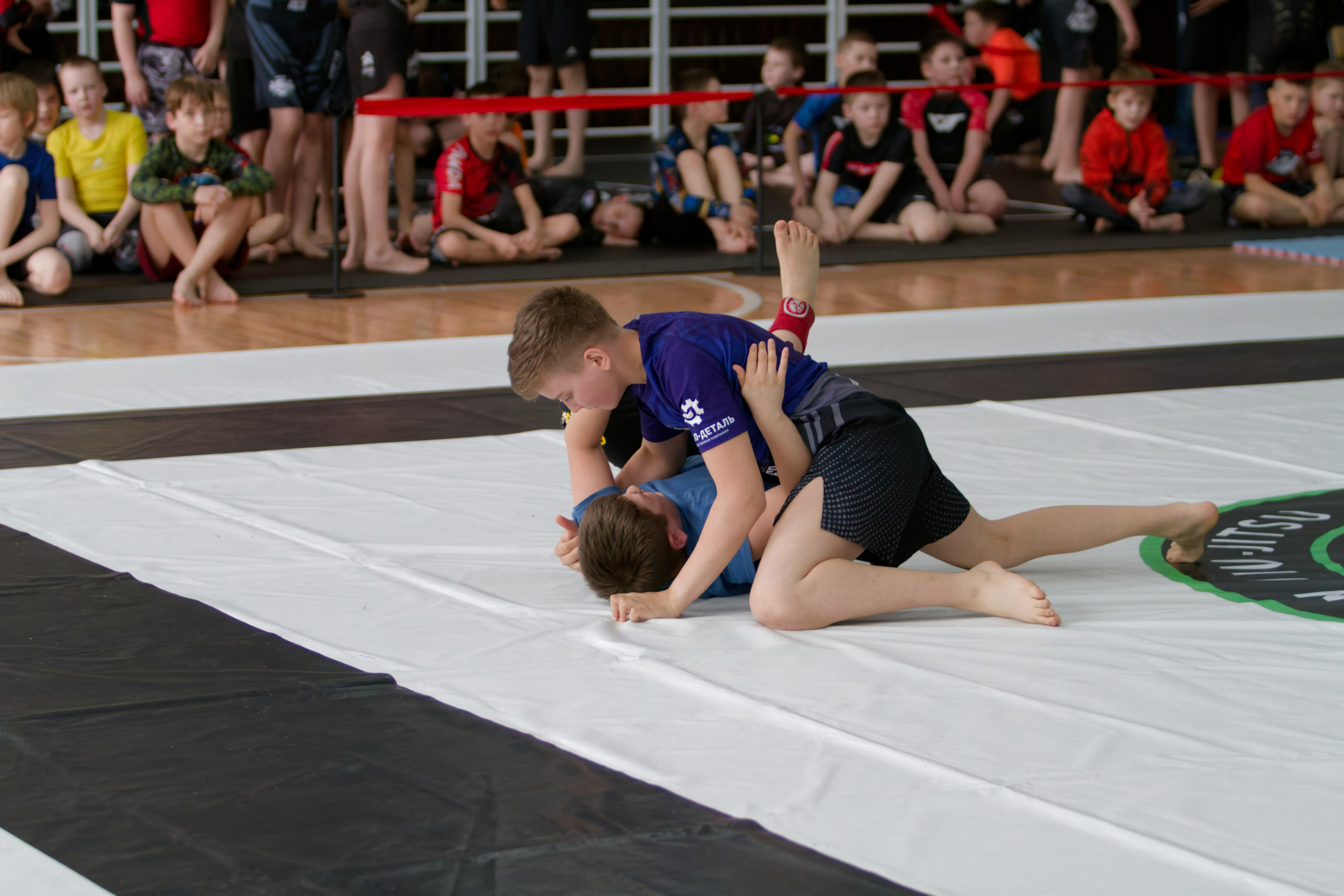 Борьба. Джиу-джитсу 26.04.2025. Репортажный и спортивный фотограф в г. Пермь Зильберг Павел