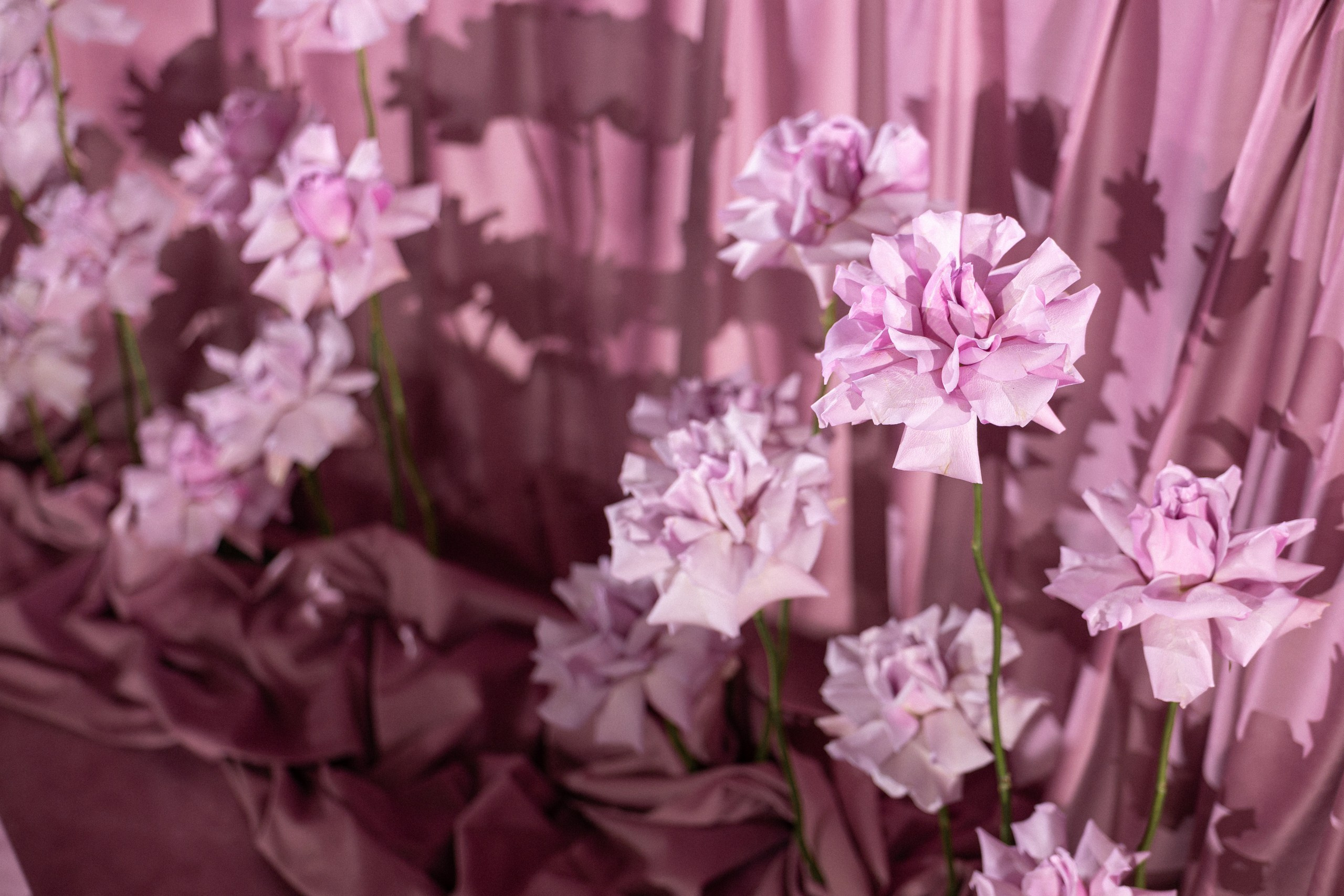 Г/М. Вебер Юлия фотограф Ростов-на-Дону