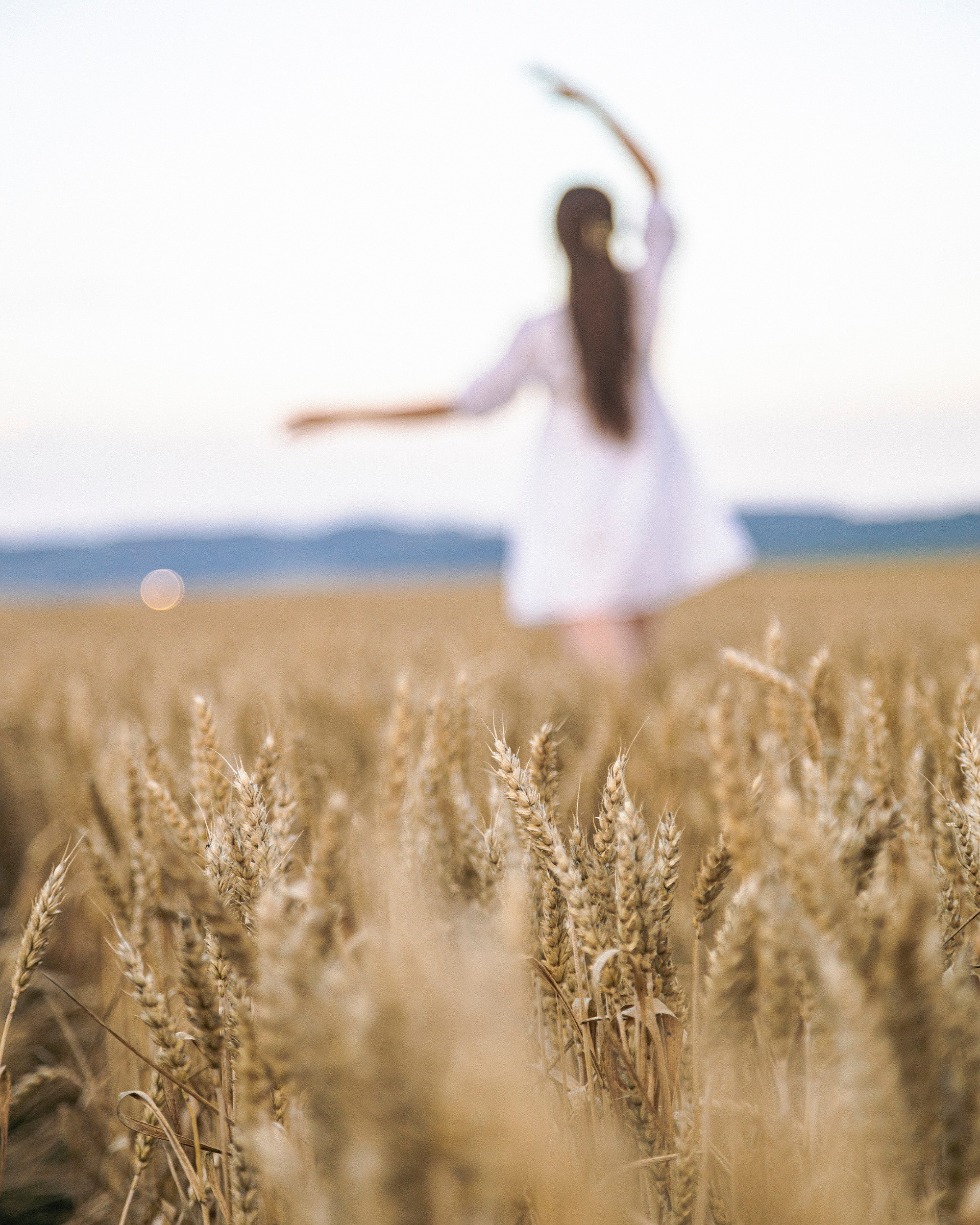 Подсолнухи. Md: Вика. Фотограф ваших событий в Красноярске — Макс Захарченко