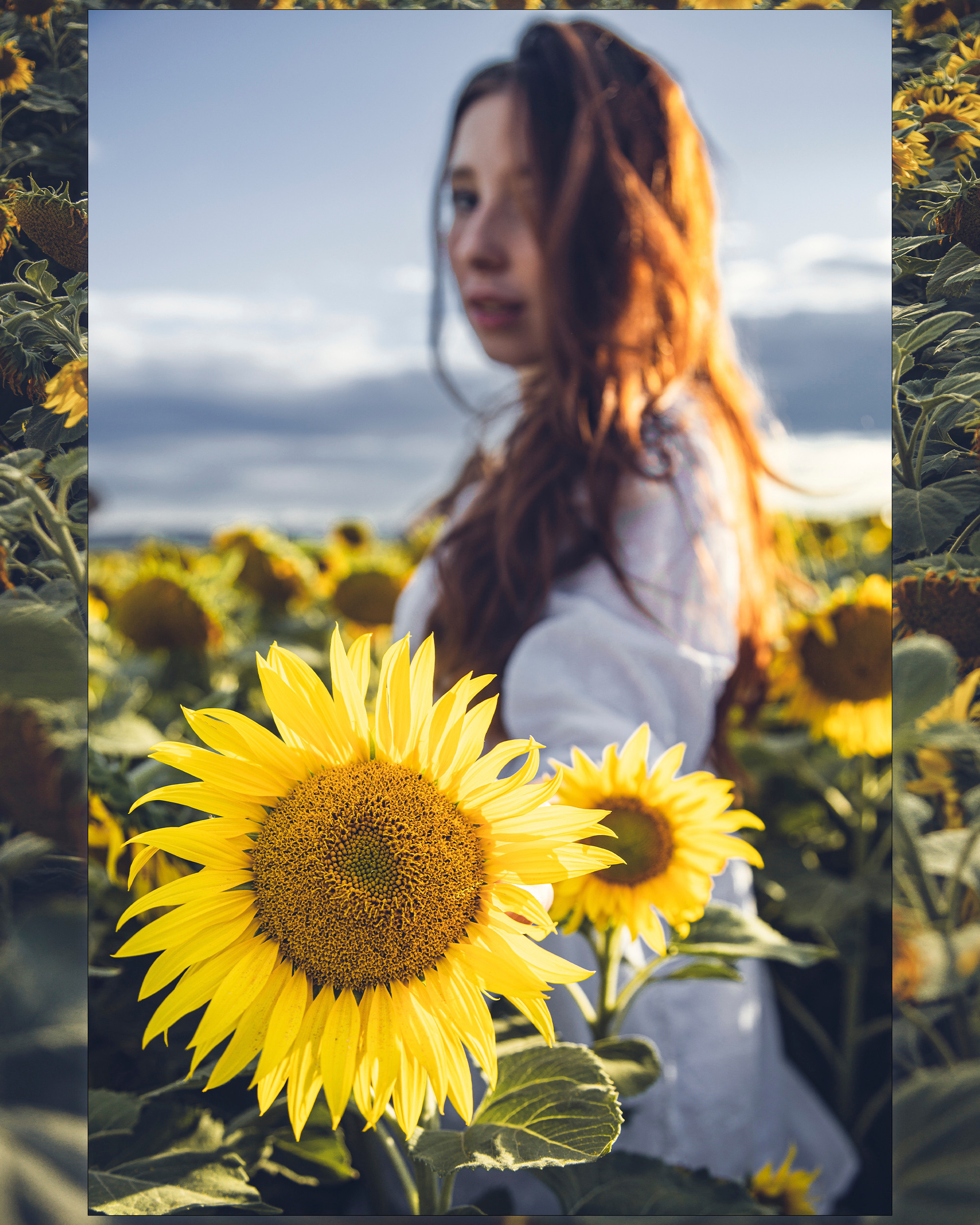 Подсолнухи. Md: Вика. Фотограф ваших событий в Красноярске — Макс Захарченко