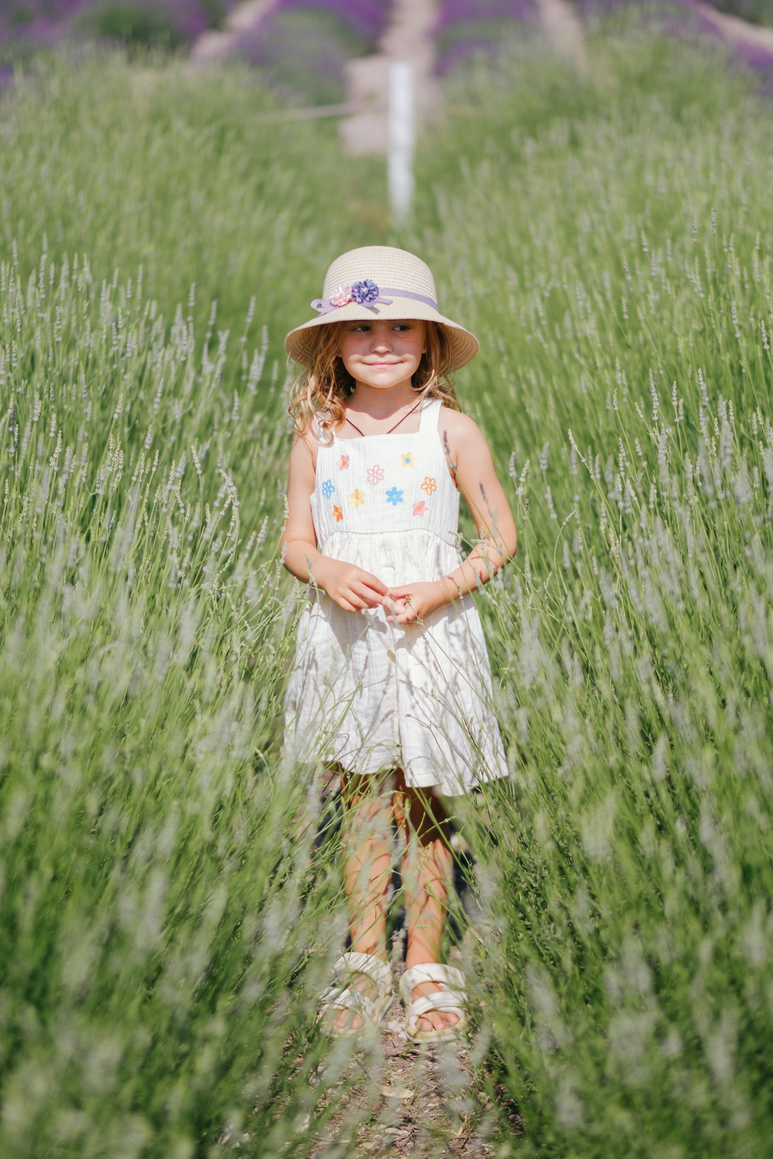 Лавандовые поля-Maison de Plantes. Свадебный Видеограф Фотограф в Сочи