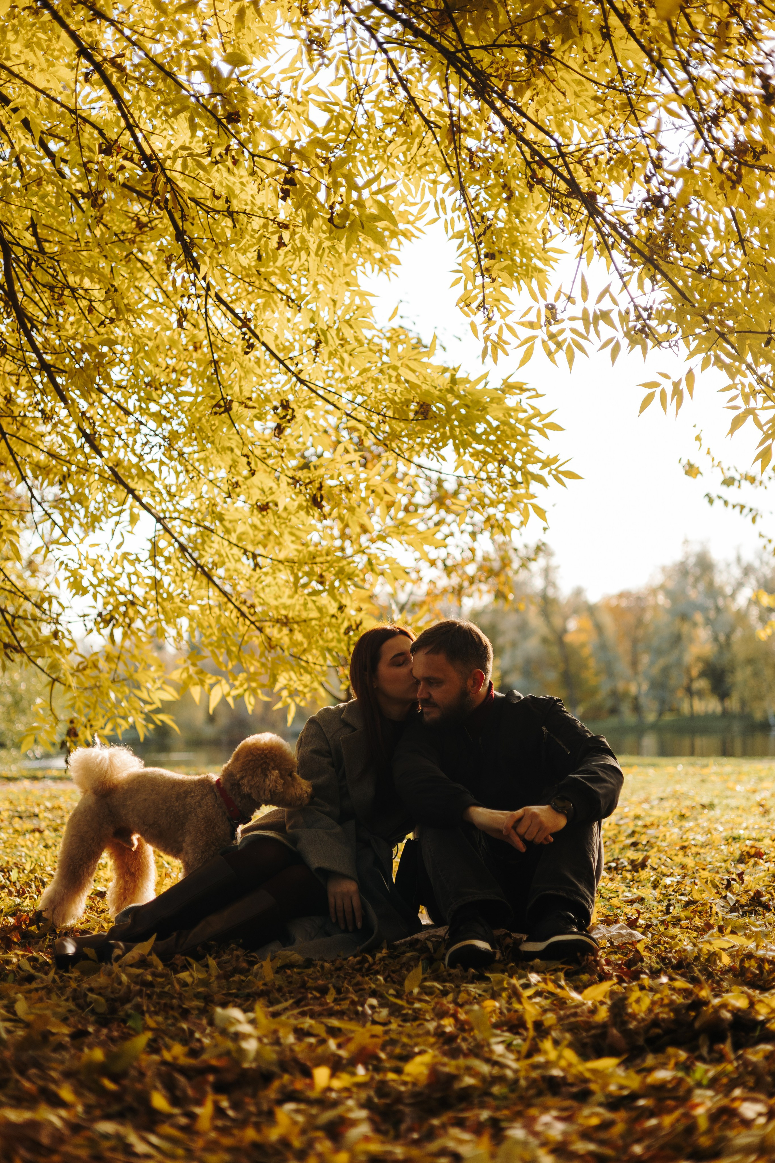 Полина, Рома и Рич. Фотограф животных Евгения Верцинская