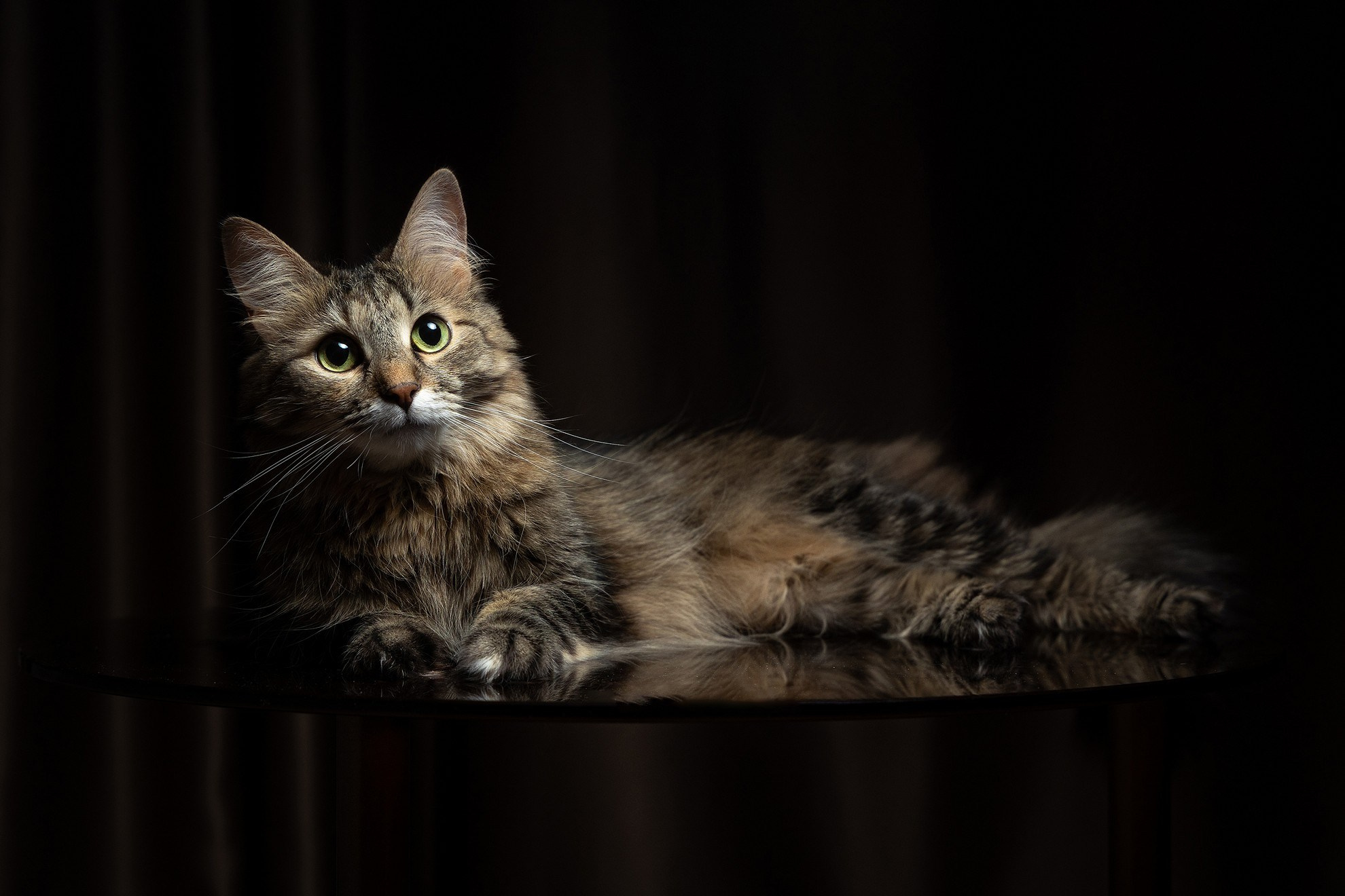 Лека и Дар. Свадебный и репортажный фотограф в Москве и Московской области