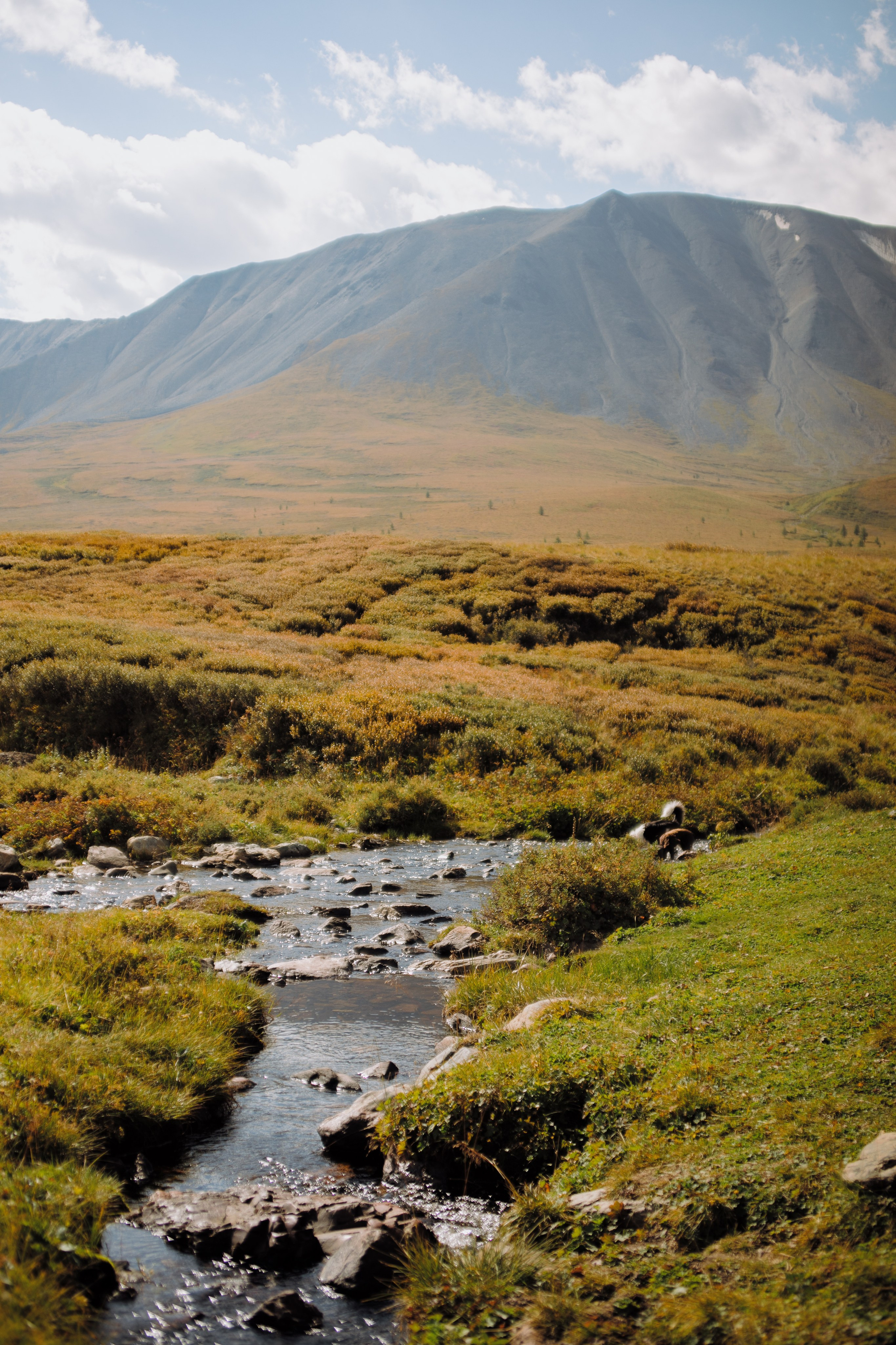 Шавлинские. Главная